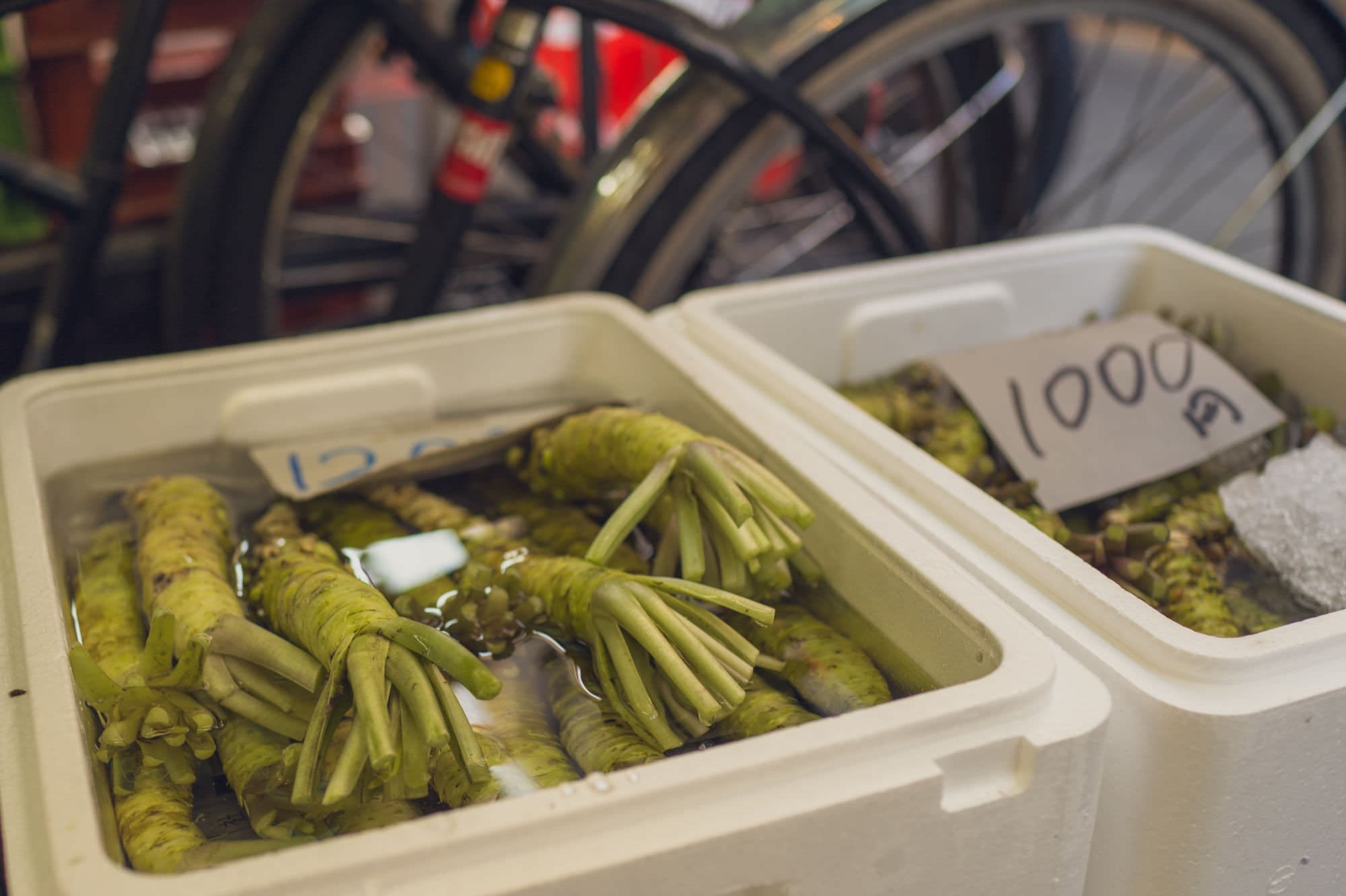 Japan day 5 photo DSC04554