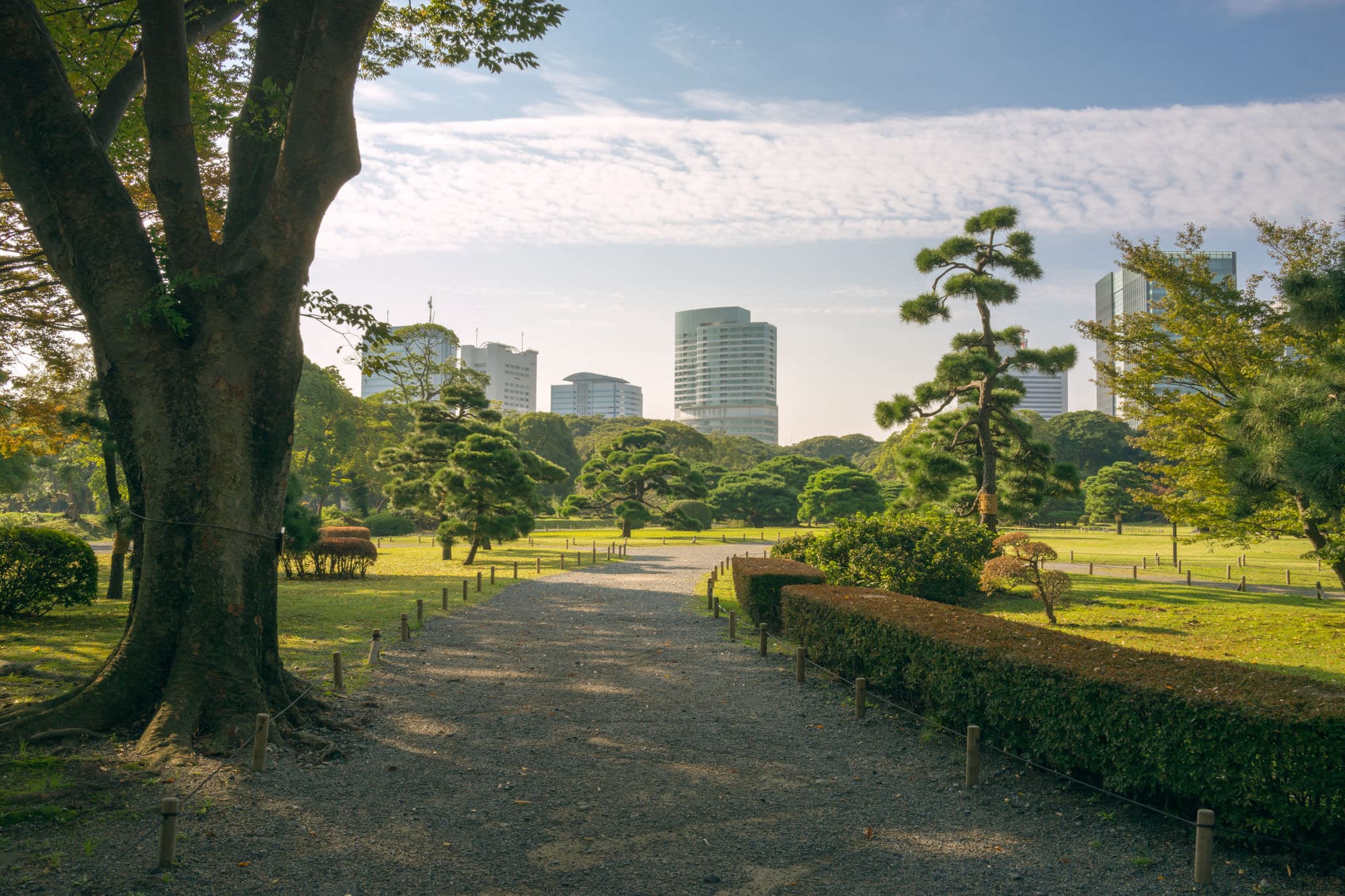 Japan day 5 photo DSC04595