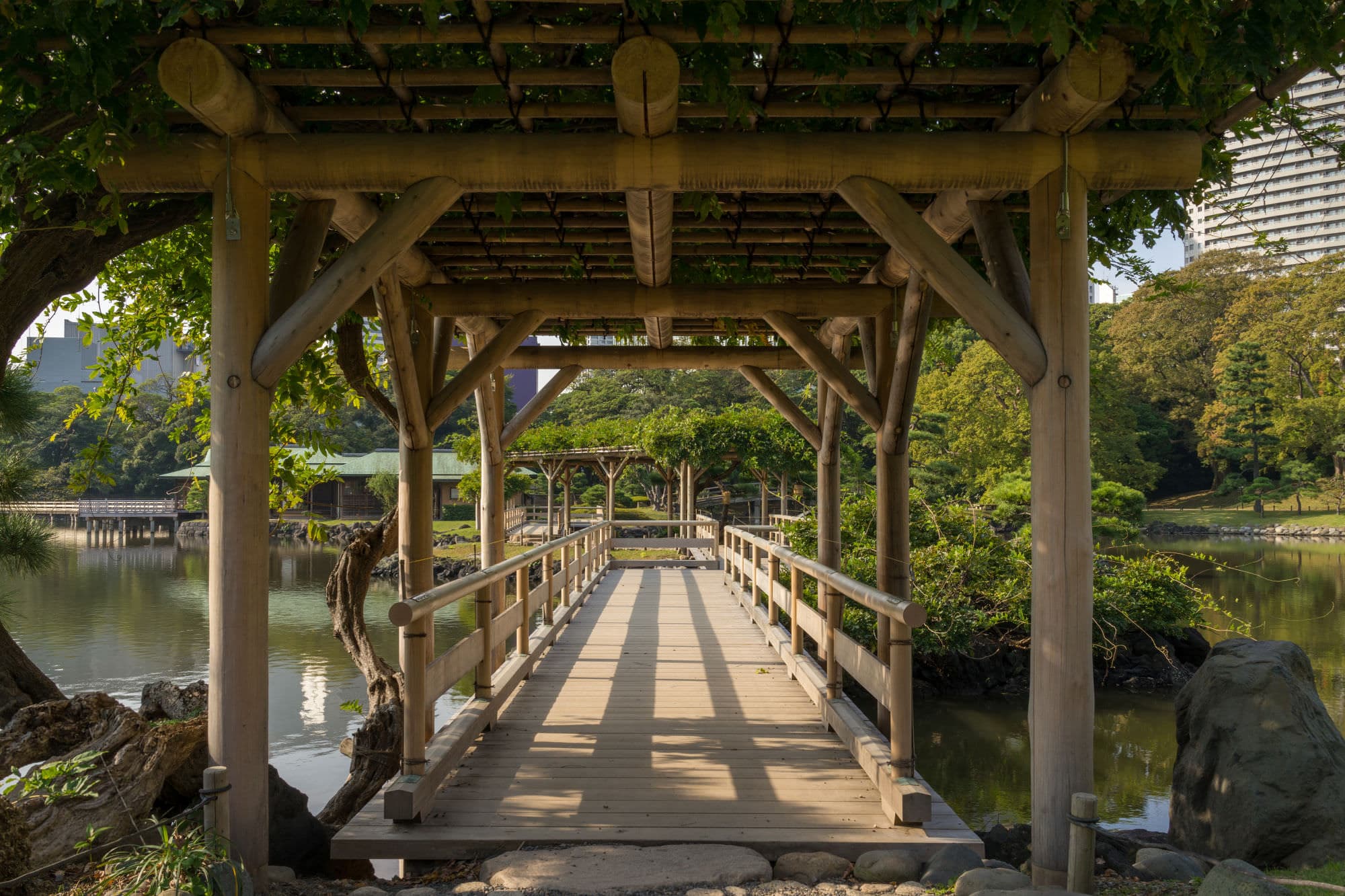 Japan day 5 photo DSC04611