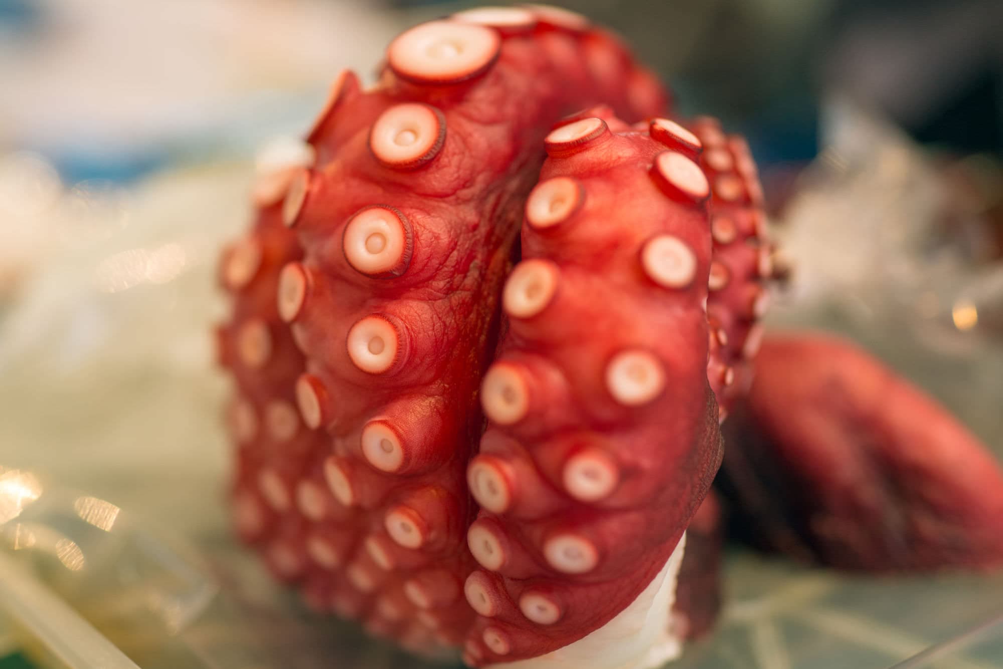 Japan day 5 photo DSC04671