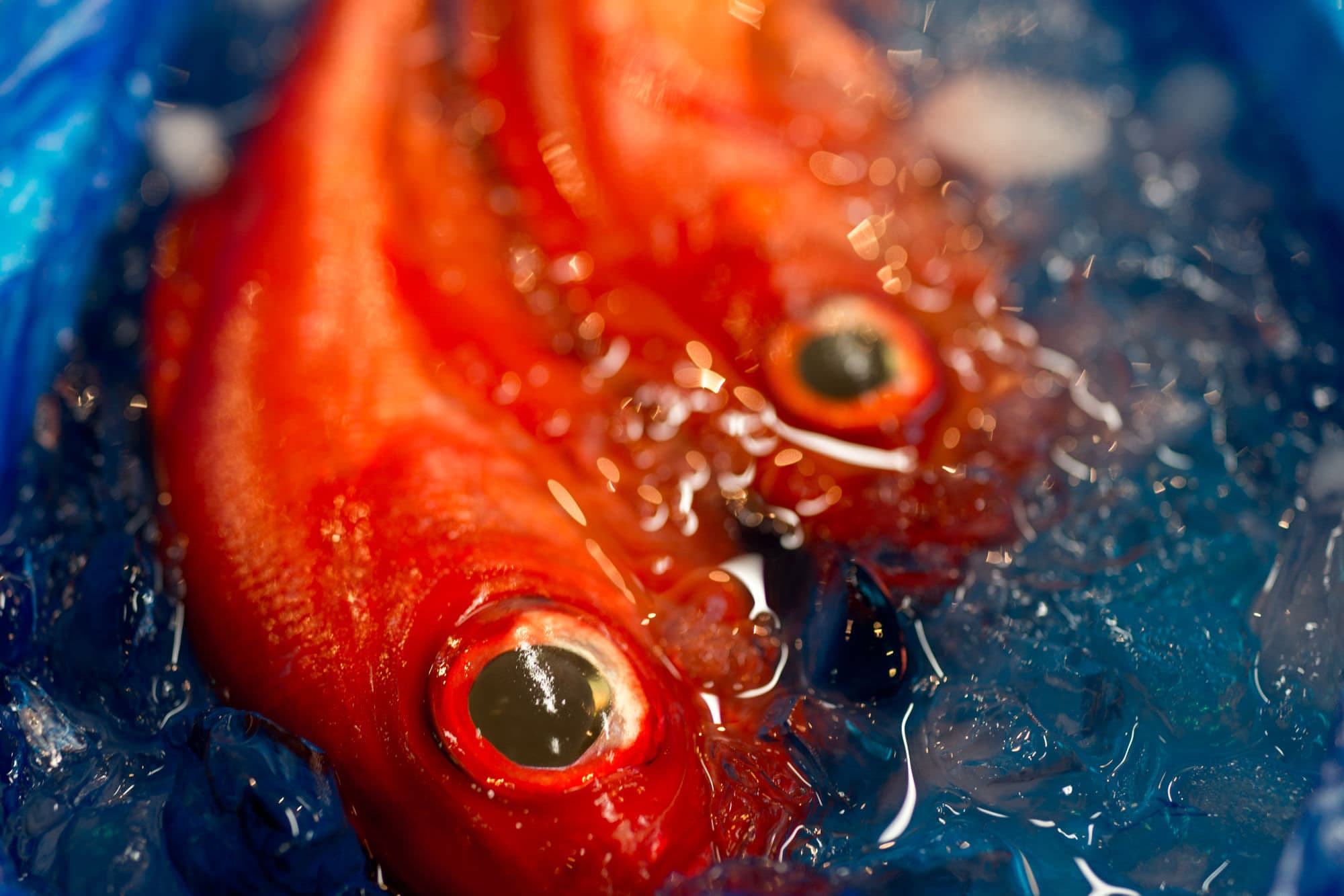 Japan day 5 photo DSC04682