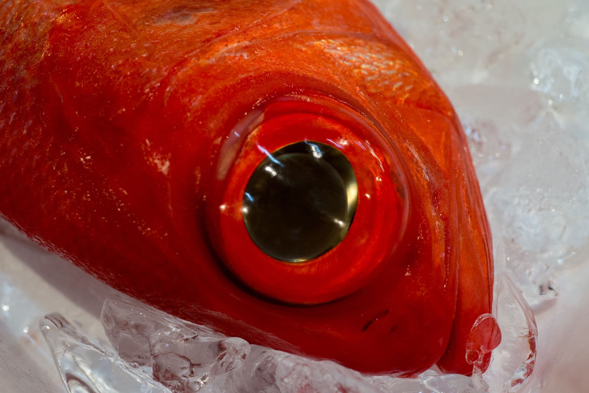 Japan day 5 photo DSC04685