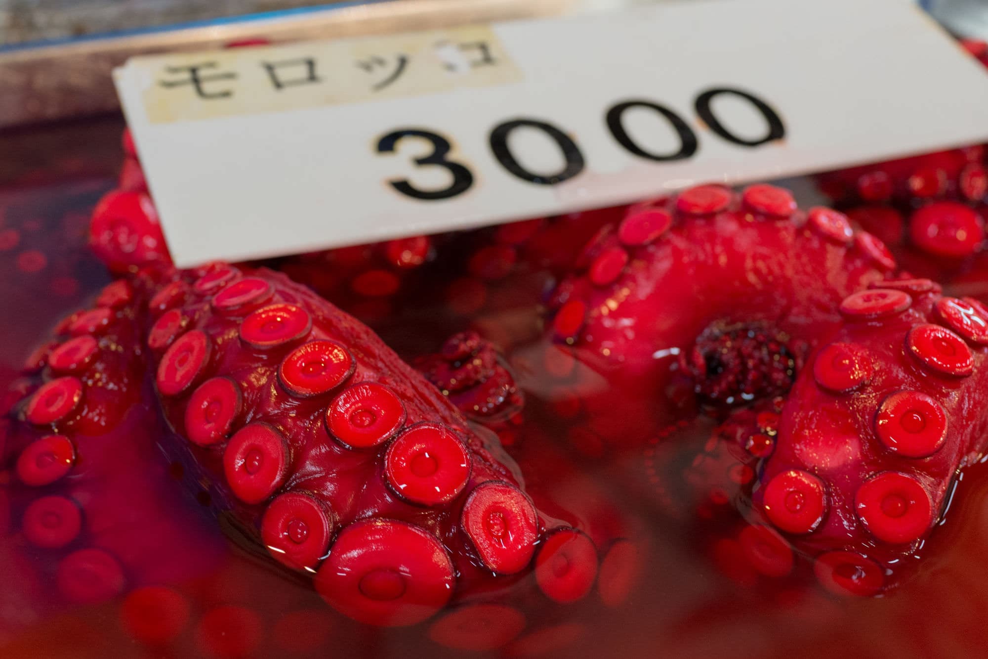 Japan day 5 photo DSC04690