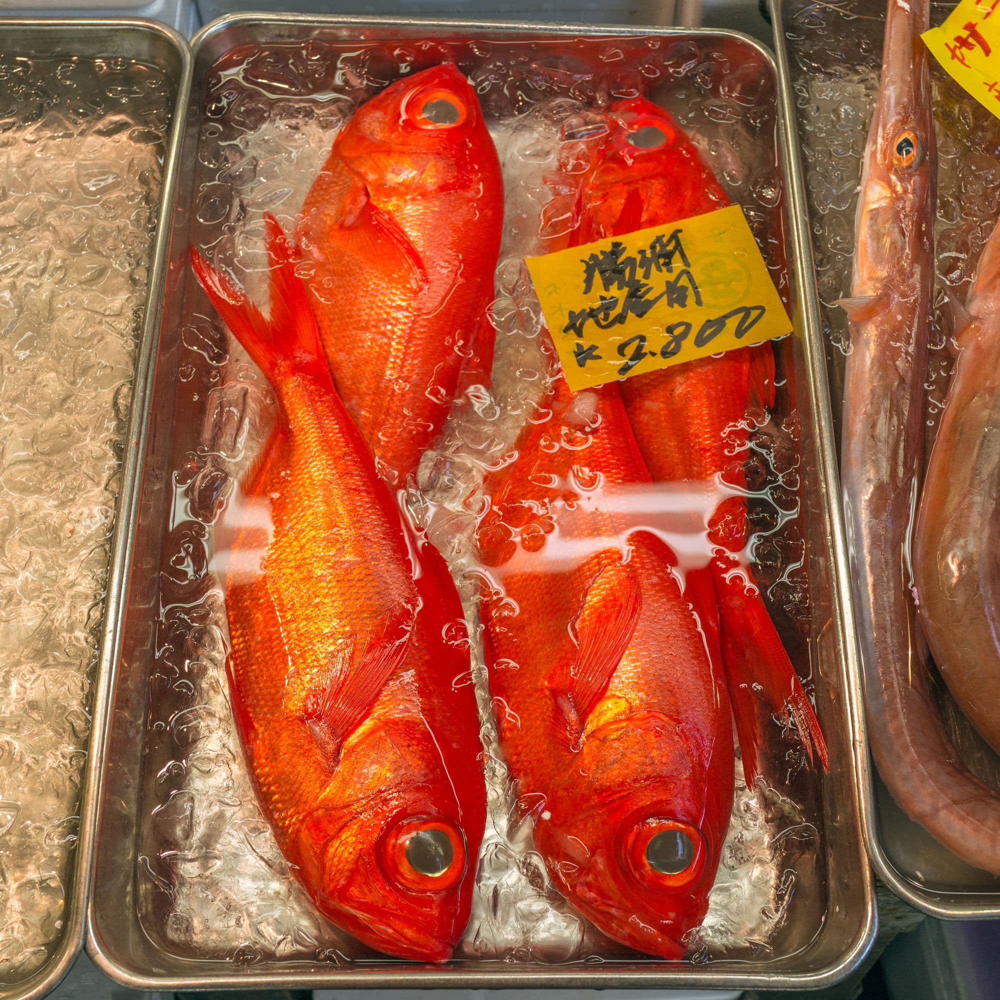 Japan day 5 photo DSC04692