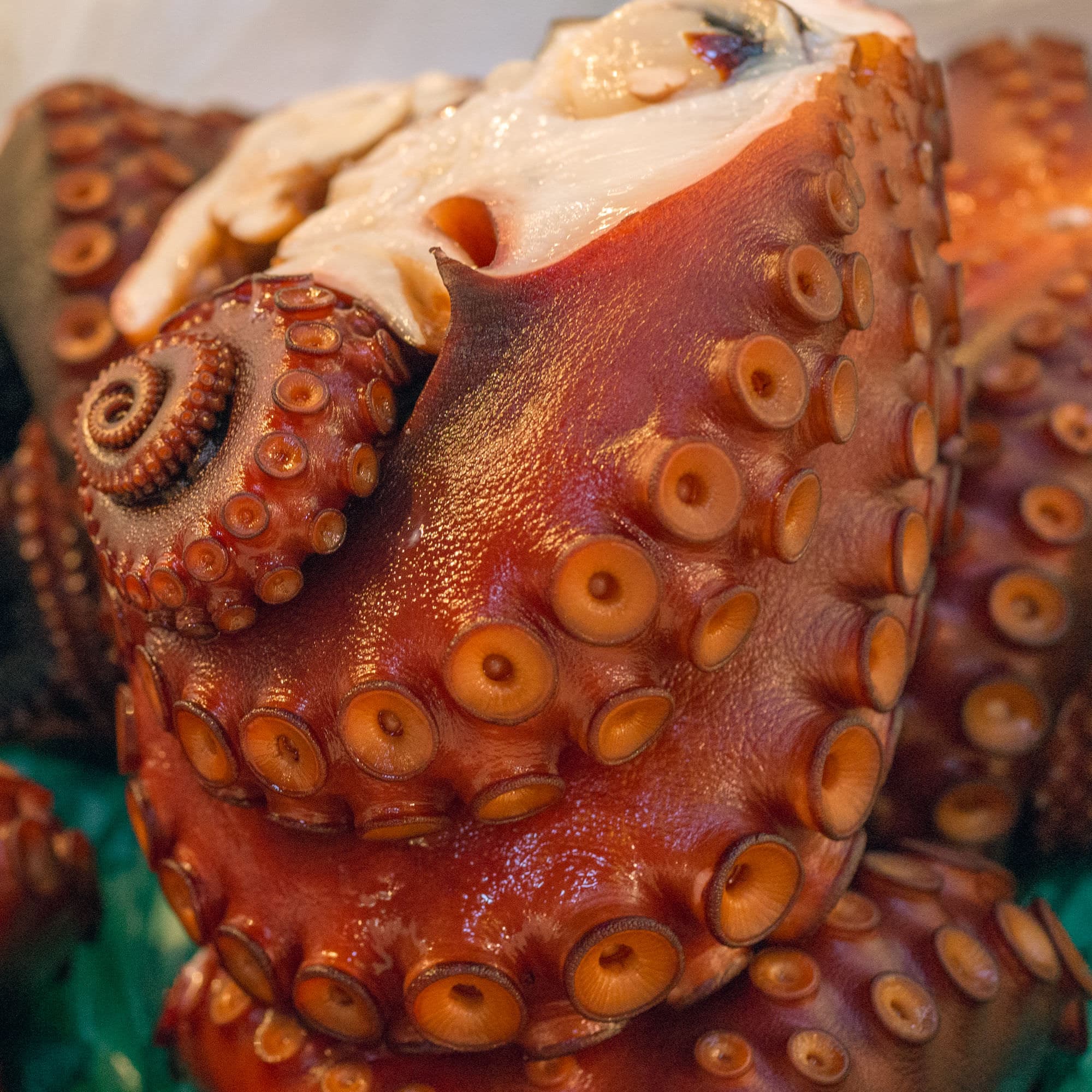 Japan day 5 photo DSC04700