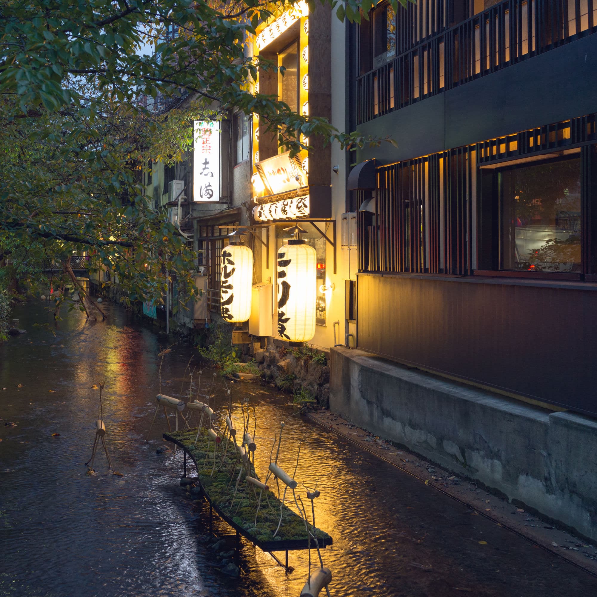 Japan day 6 photo DSC04840