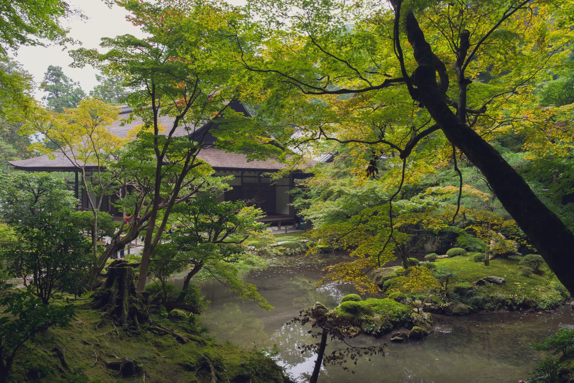 Japan day 7 photo DSC05137