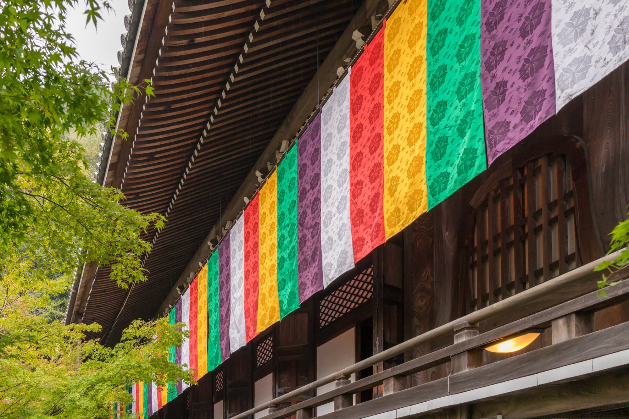 Japan day 7 photo DSC05257
