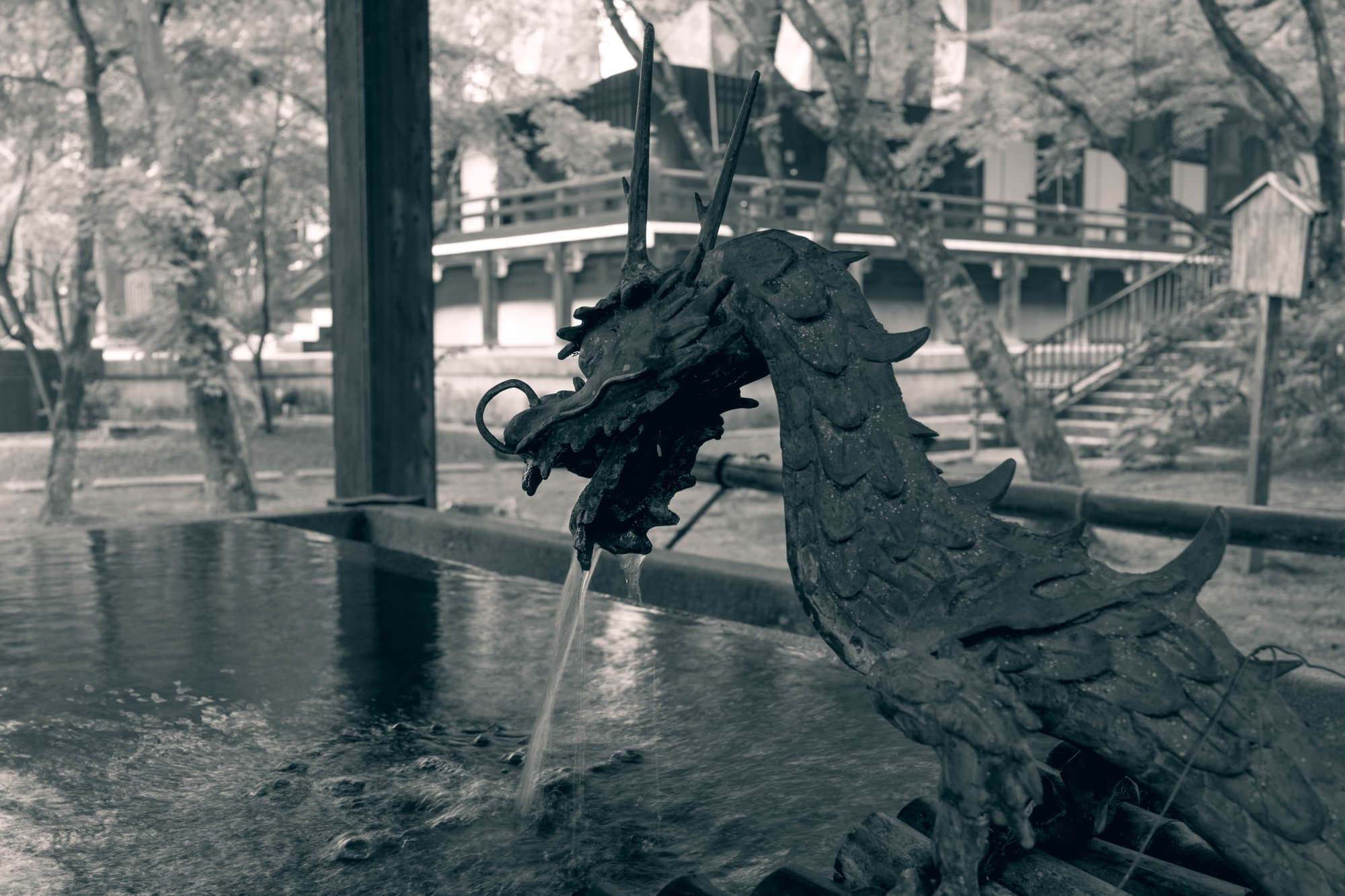 Japan day 7 photo DSC05296