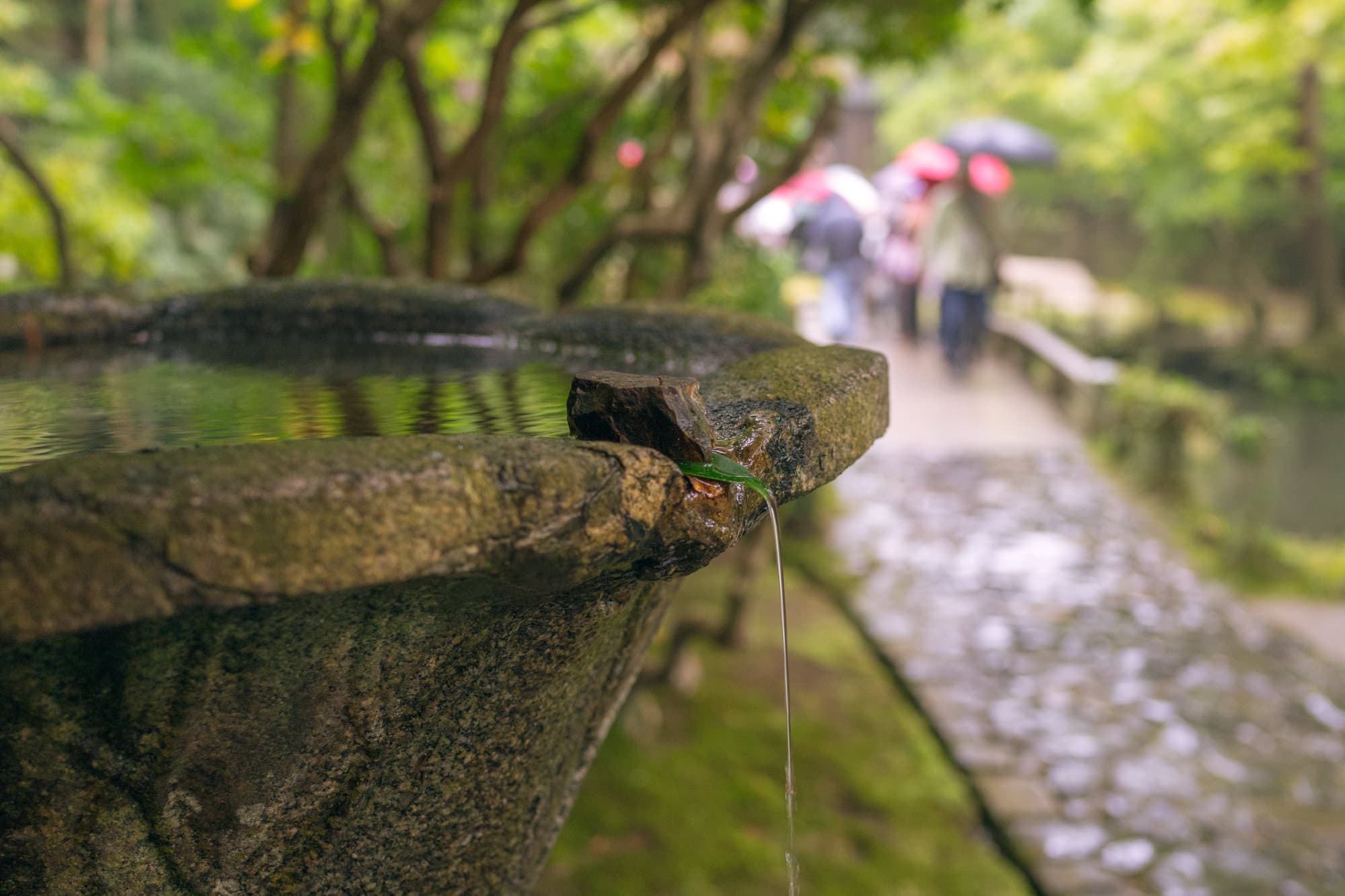 Japan day 7 photo DSC05392