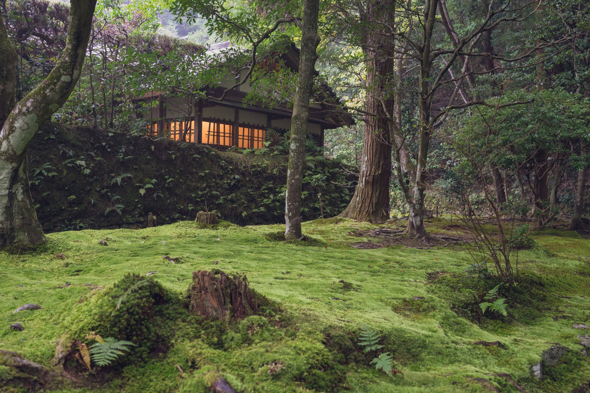 Japan day 7 photo DSC05395