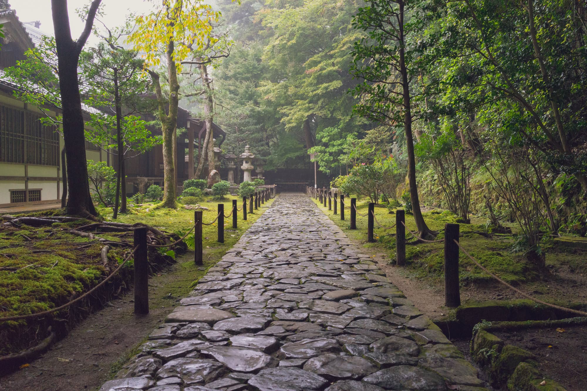 Japan day 7 photo DSC05401