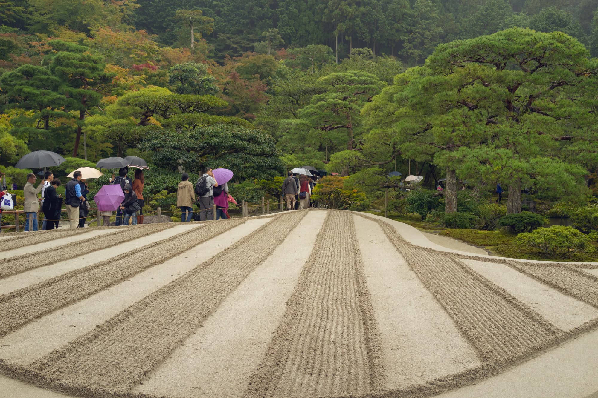 Japan day 7 photo DSC05430