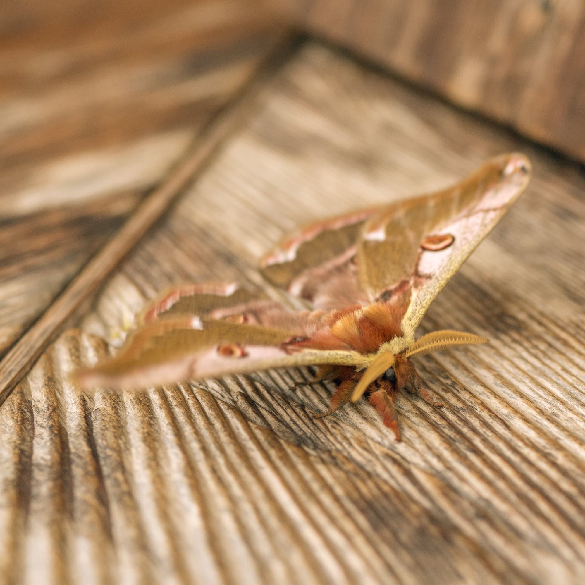 Japan day 7 photo DSC05439