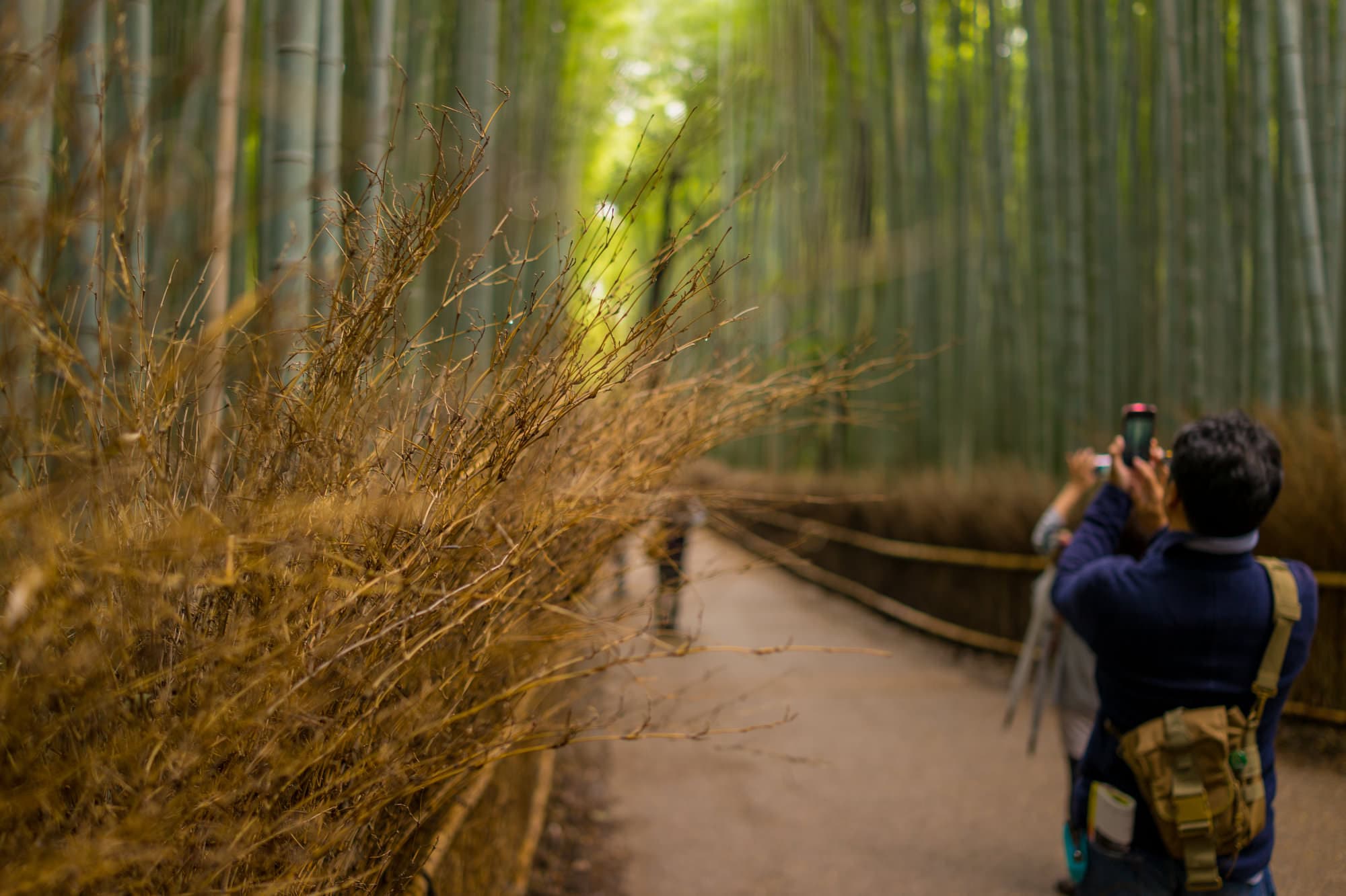 Japan day 8 photo DSC05596