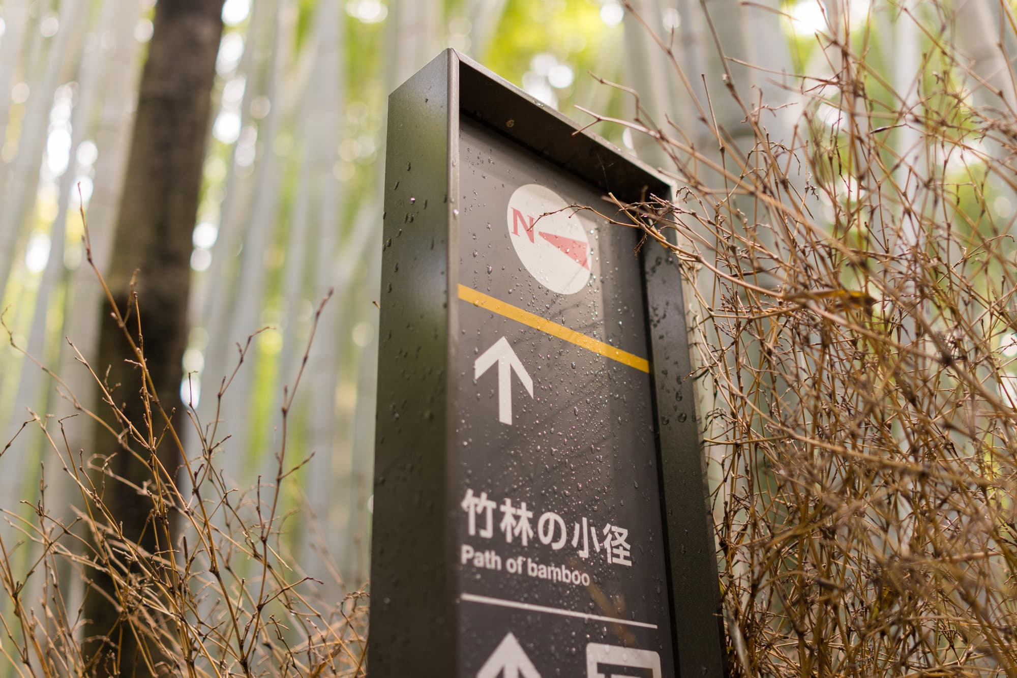 Japan day 8 photo DSC05610