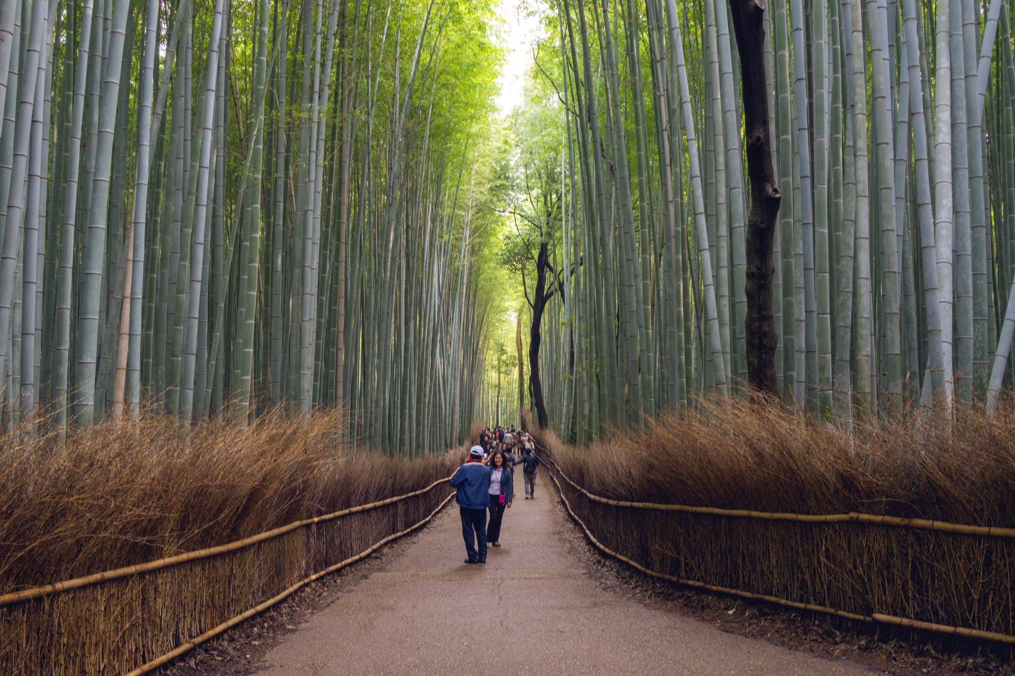 Japan day 8 photo DSC05614