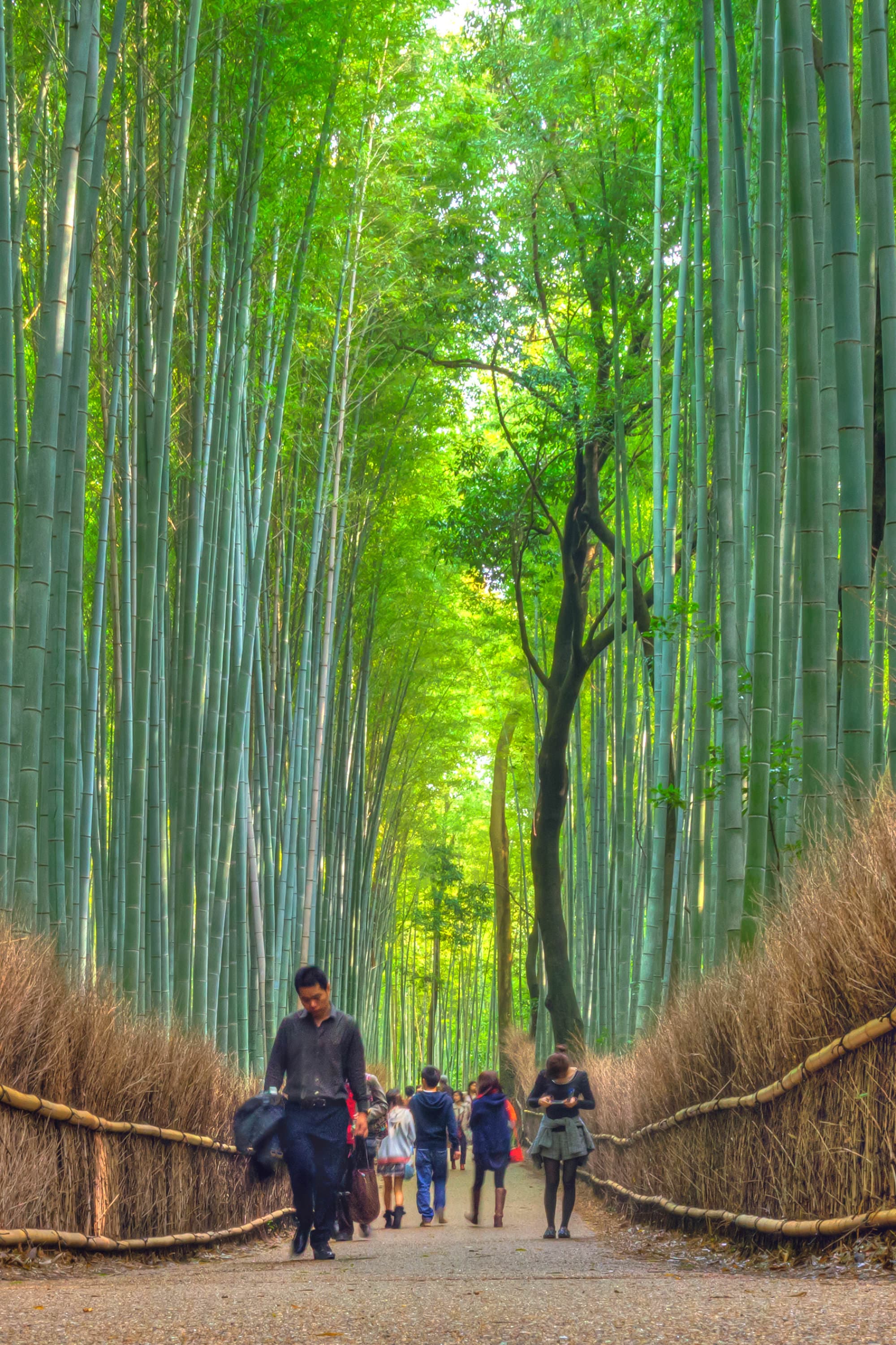 Japan day 8 photo DSC05616_7_8hdr