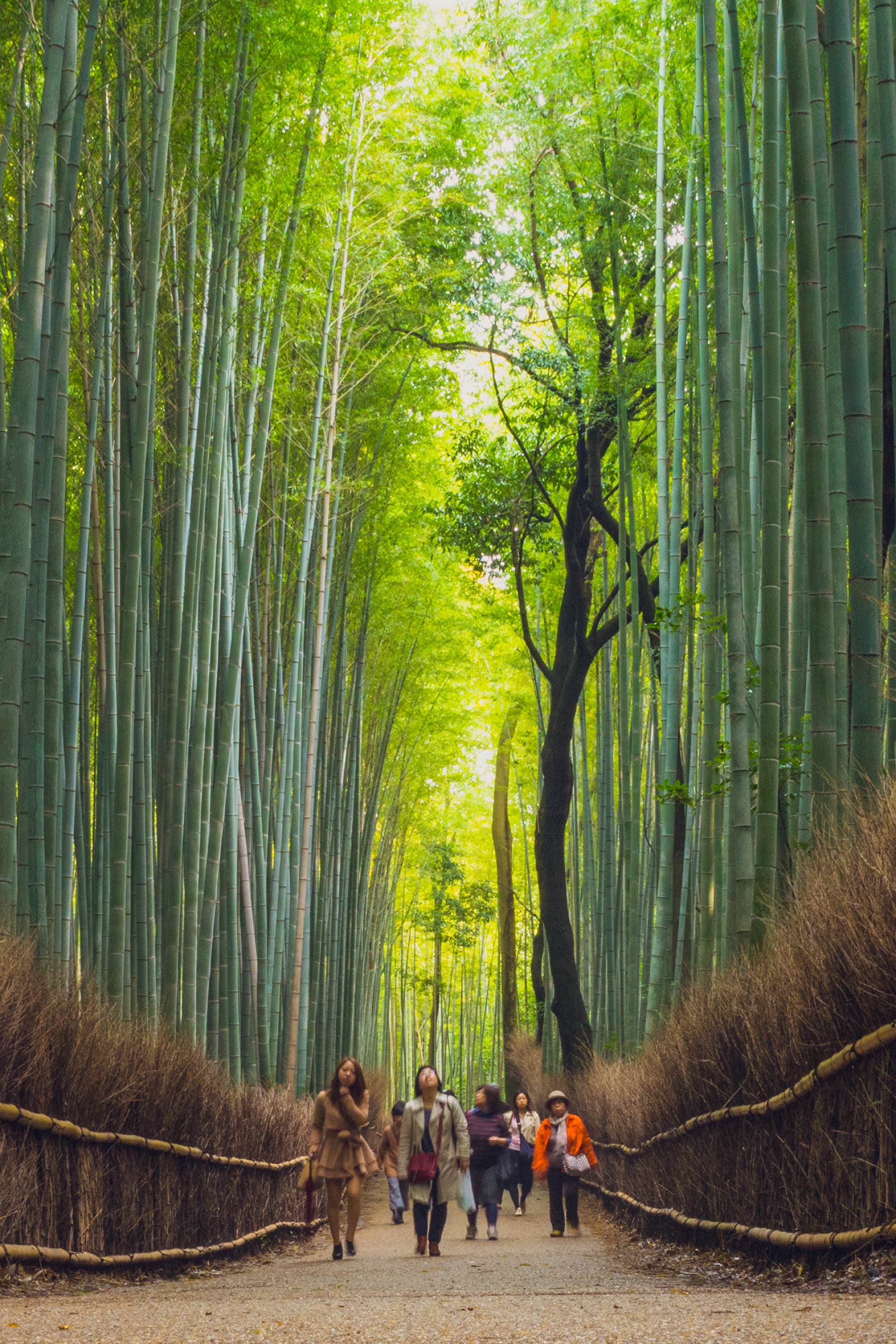 Japan day 8 photo DSC05619
