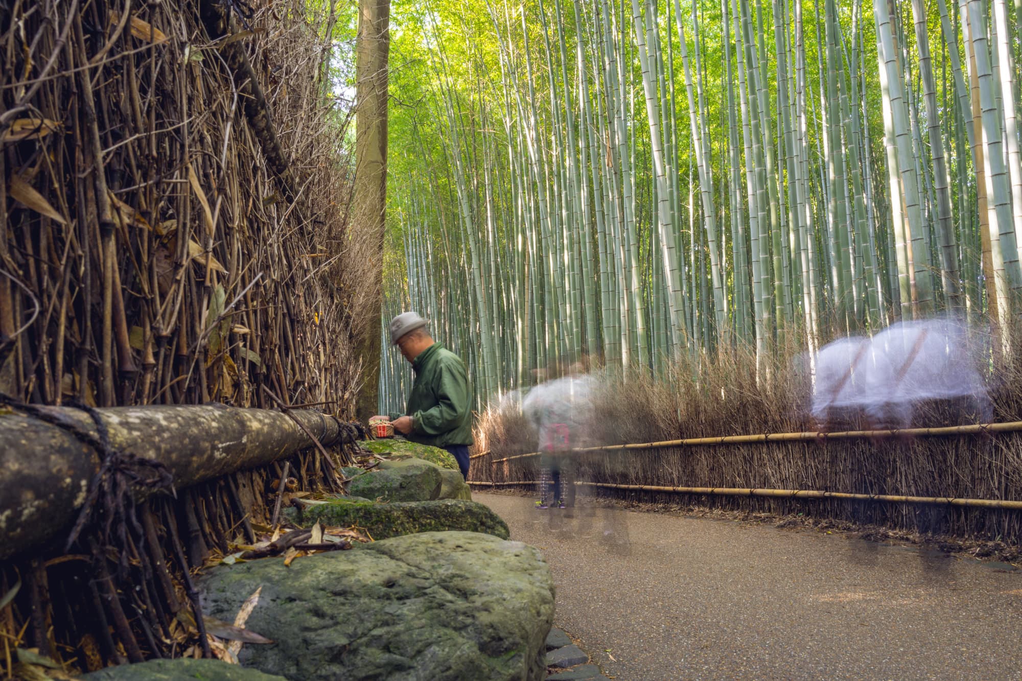 Japan day 8 photo DSC05667