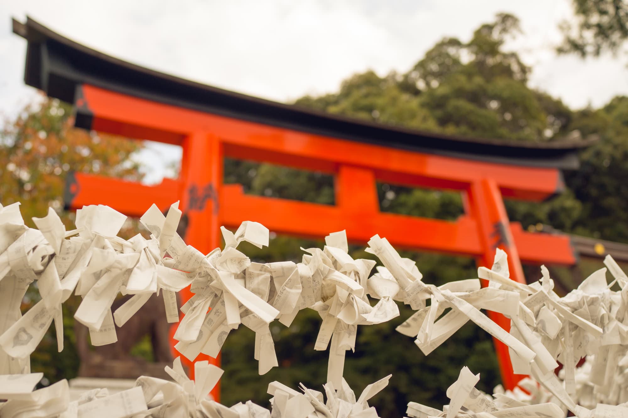 Japan day 8 photo DSC05761