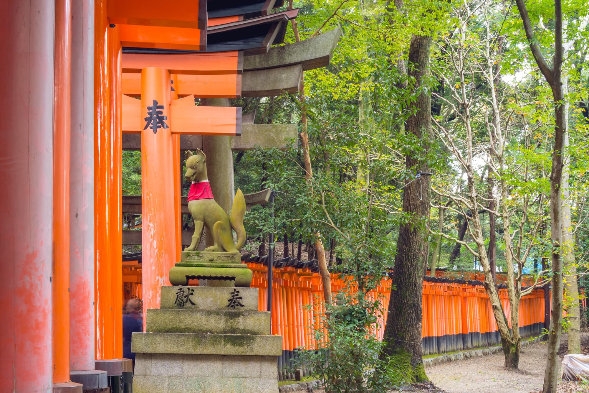 Japan day 8 photo DSC05806