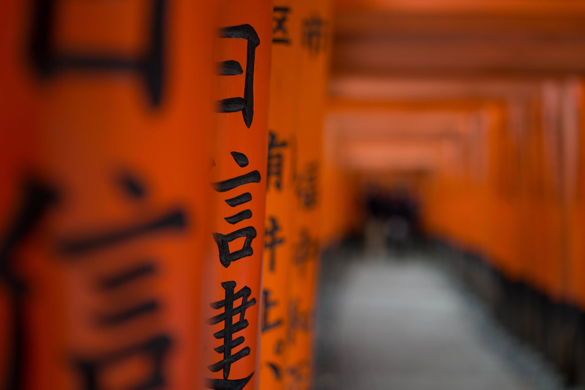 Japan day 8 photo DSC05824