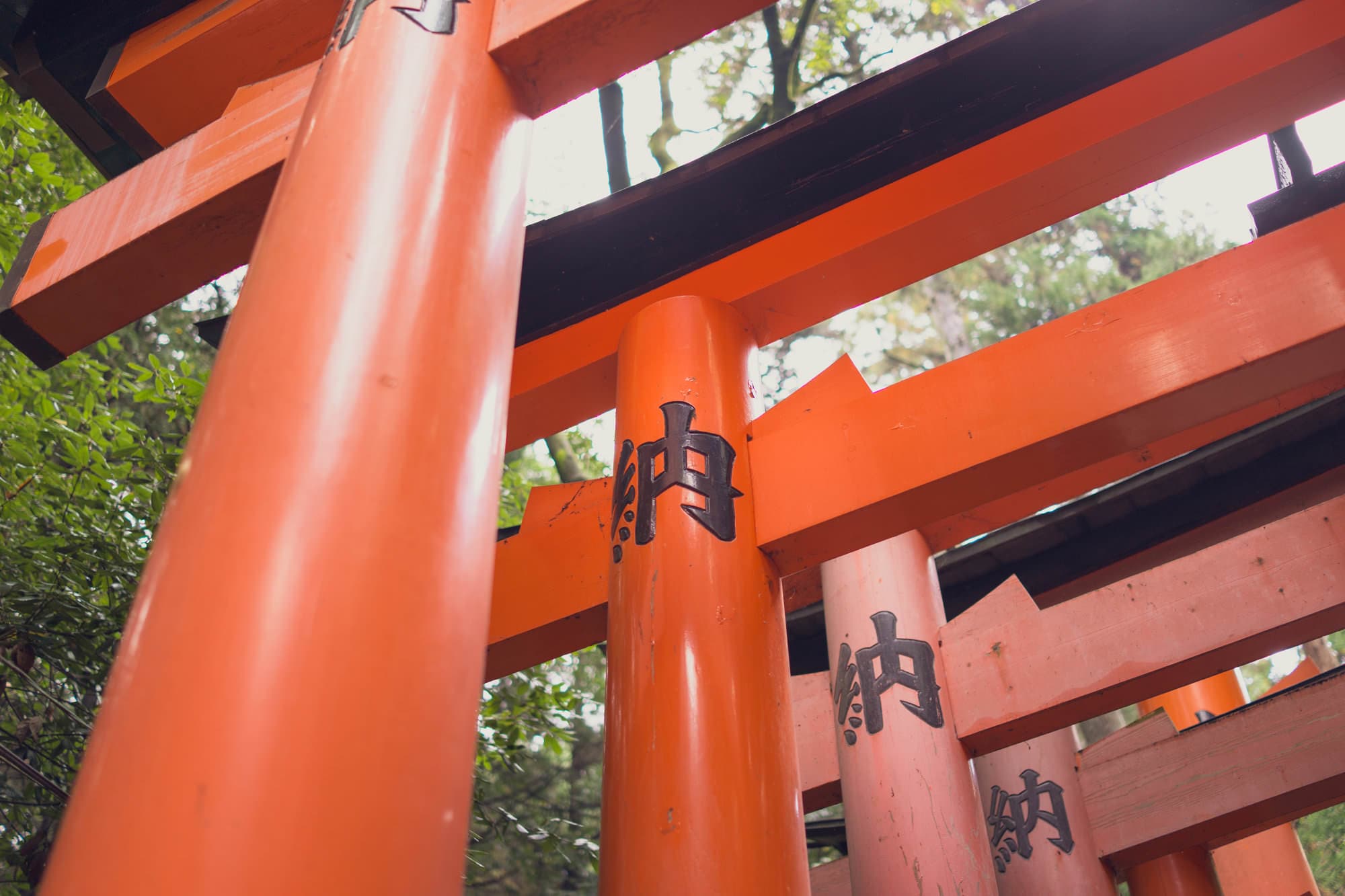 Japan day 8 photo DSC05866