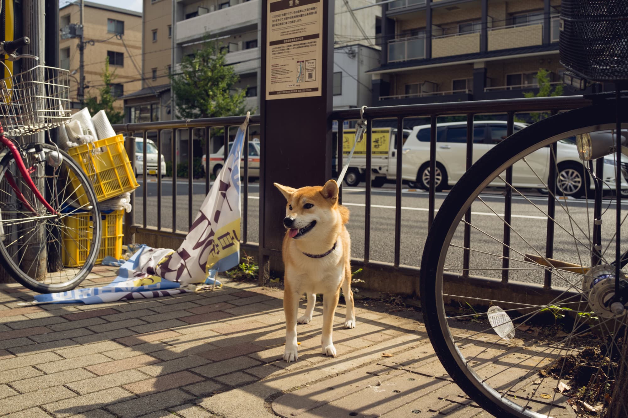 Japan day 9 photo DSC06212