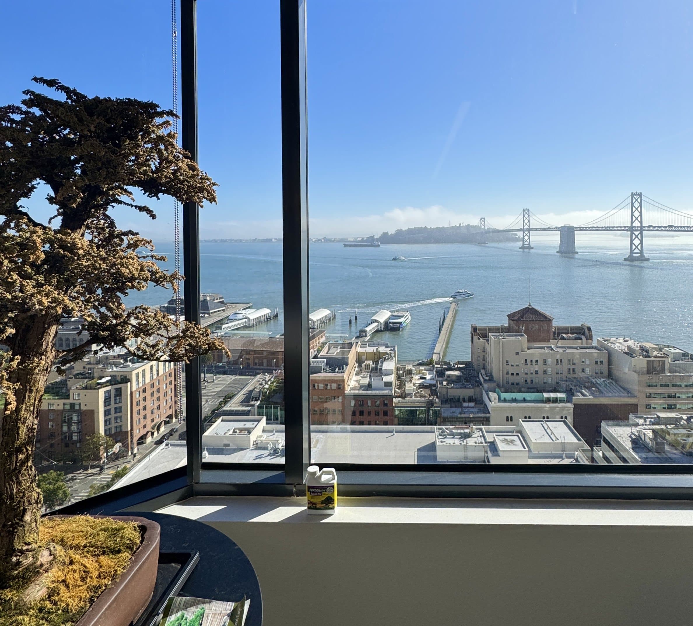 The view from the Sesame office in San Francisco