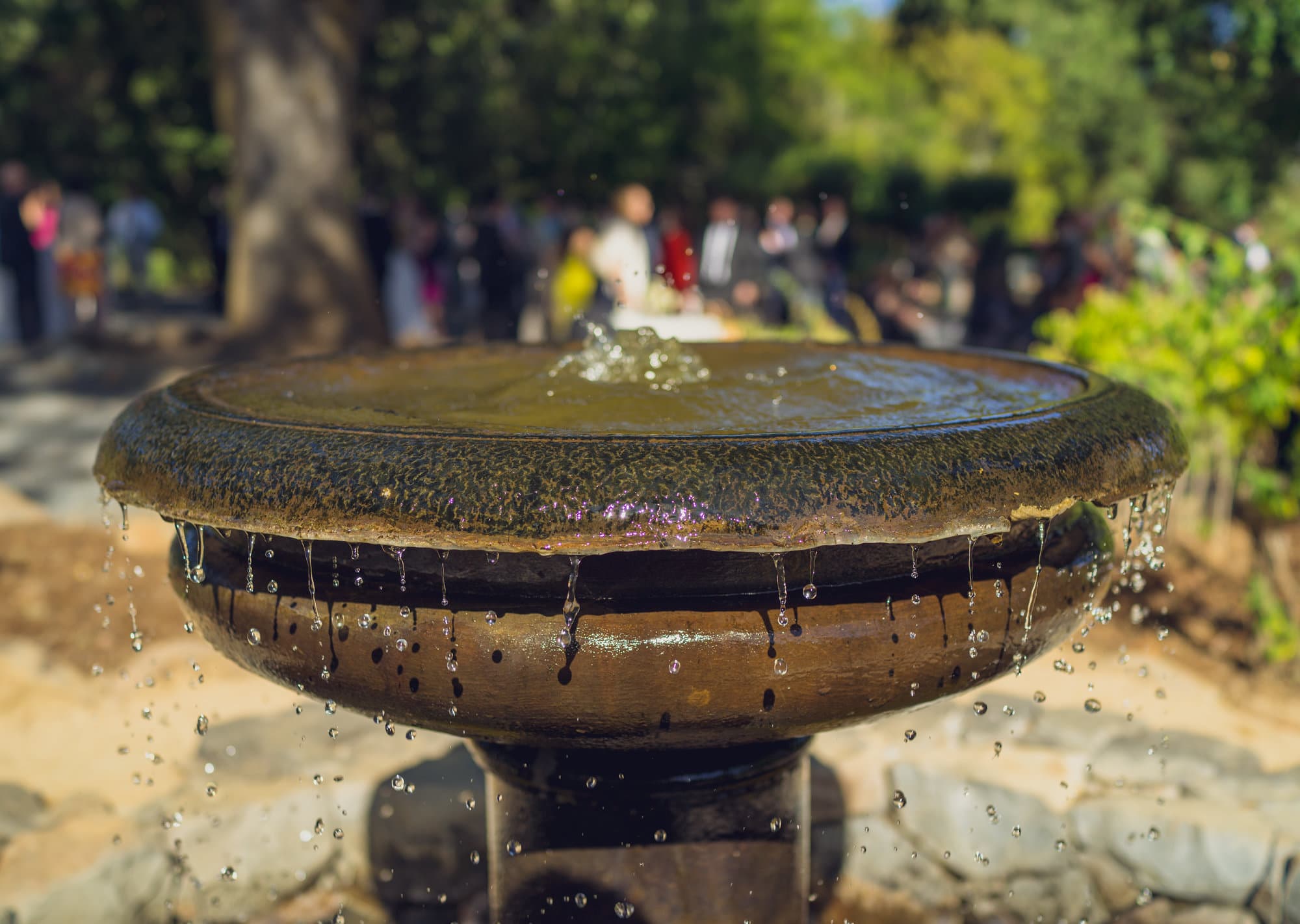 Sonoma Weekend photo DSC00613