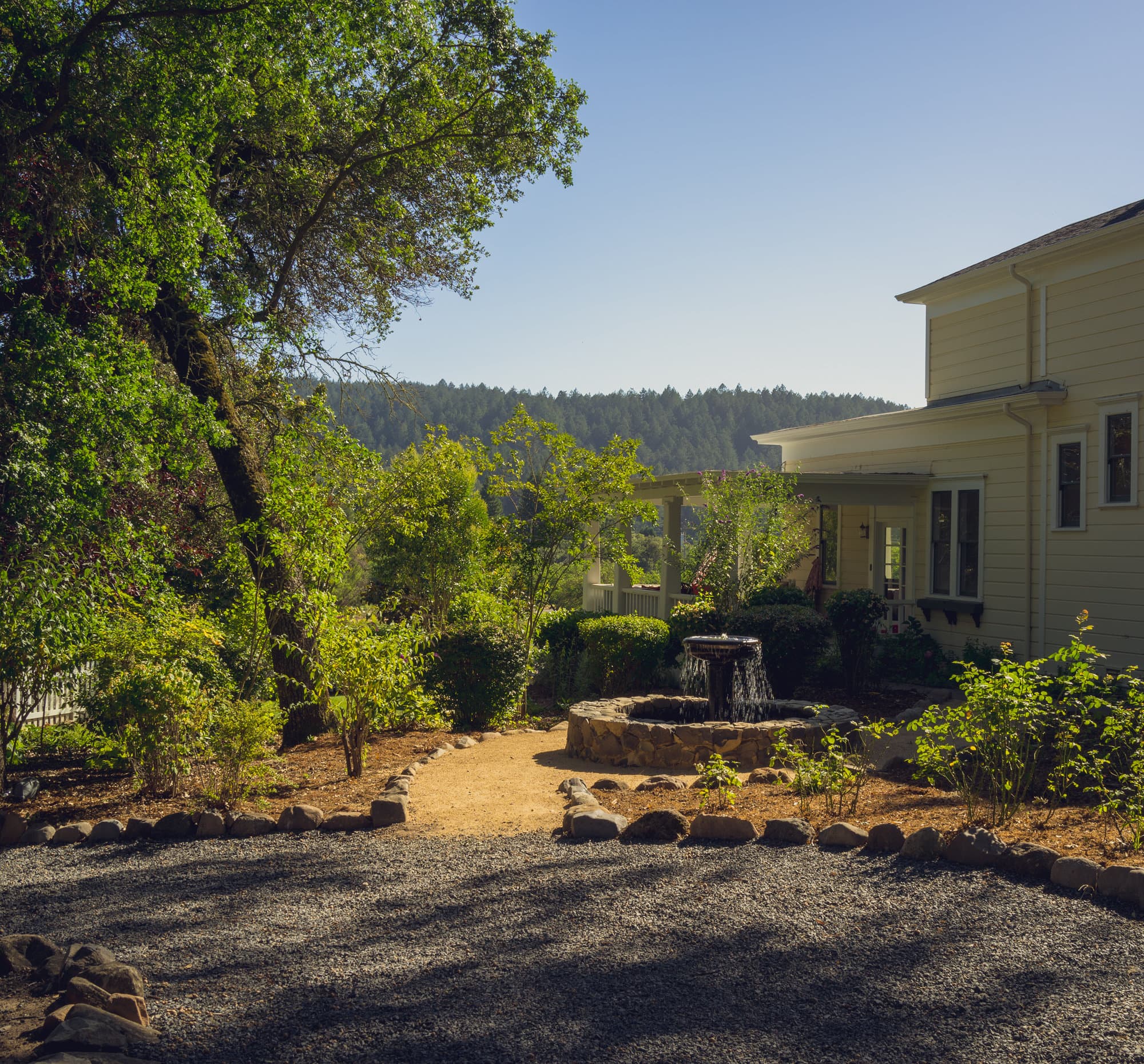 Sonoma Weekend photo DSC00624