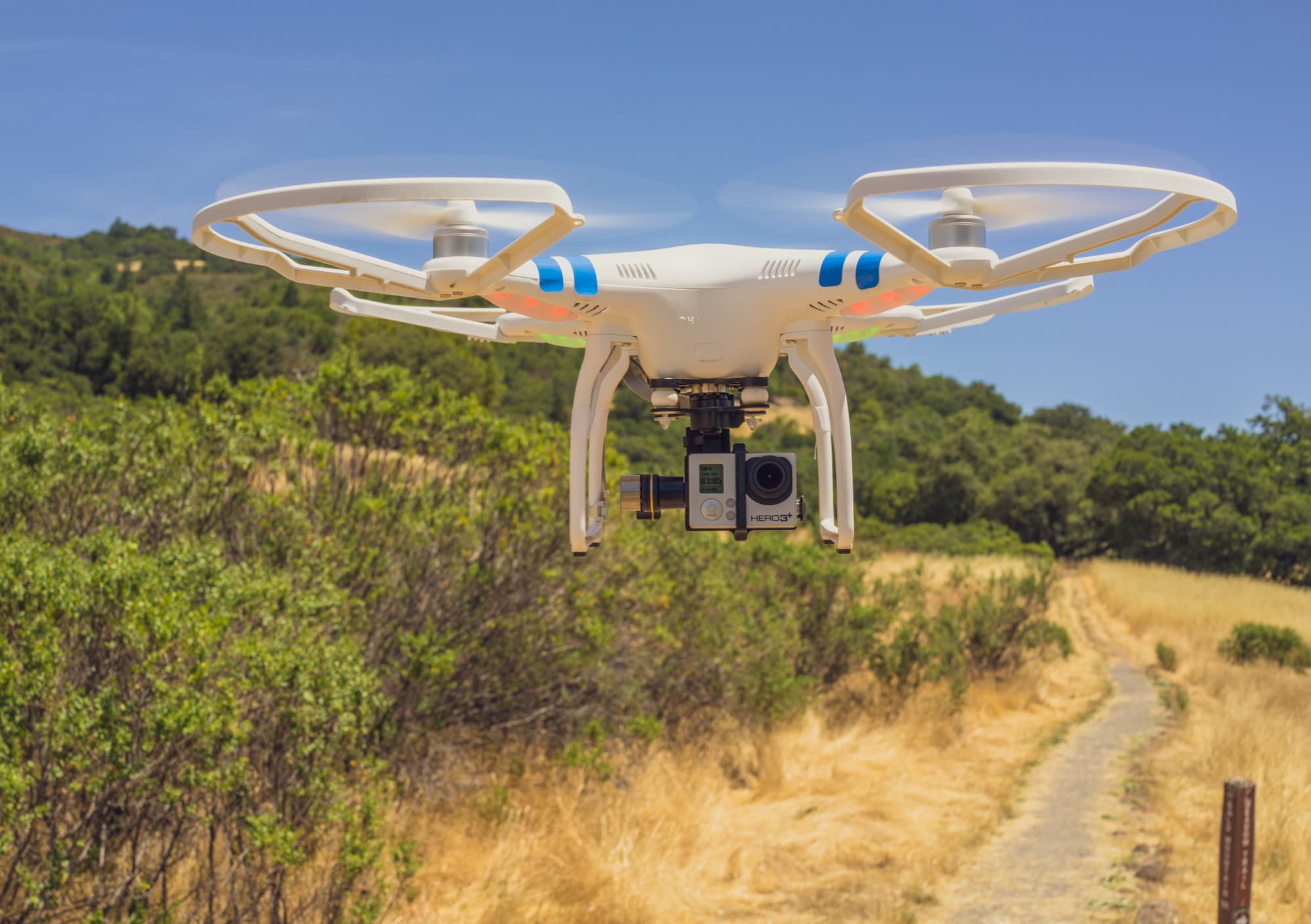 Sonoma Weekend photo DSC00711