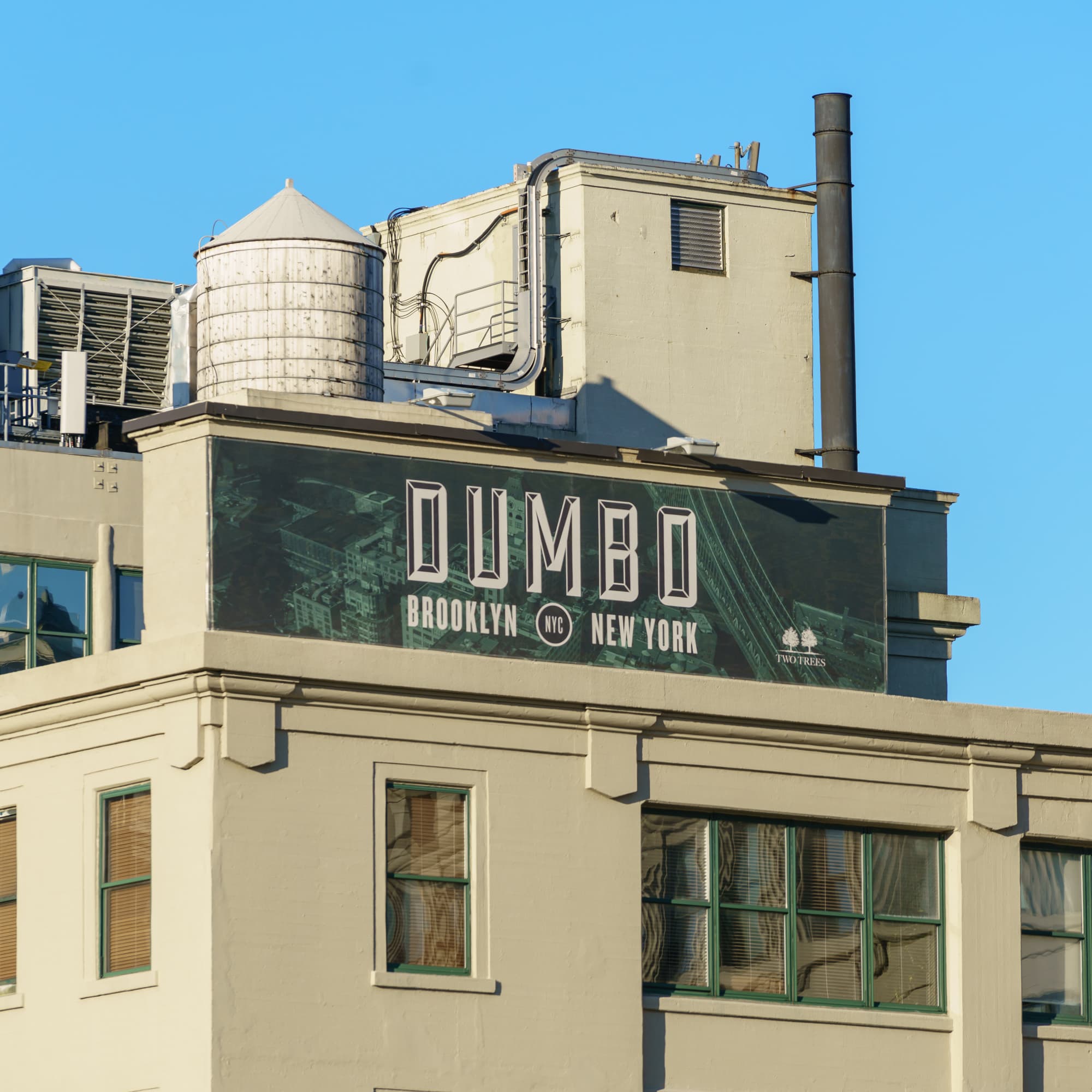 DUMBO photo DSC04902