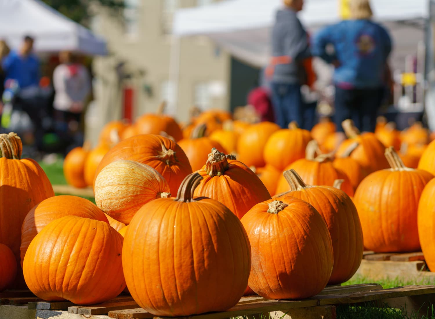 Newport photo DSC05178