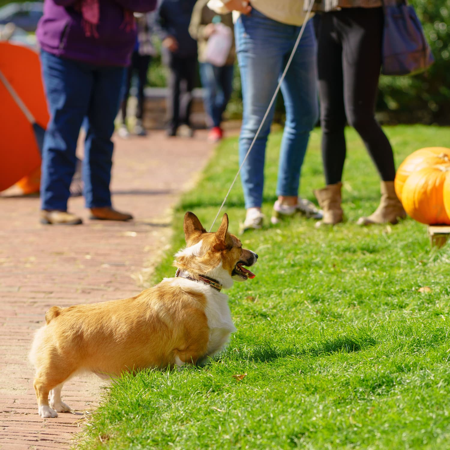 Newport photo DSC05180