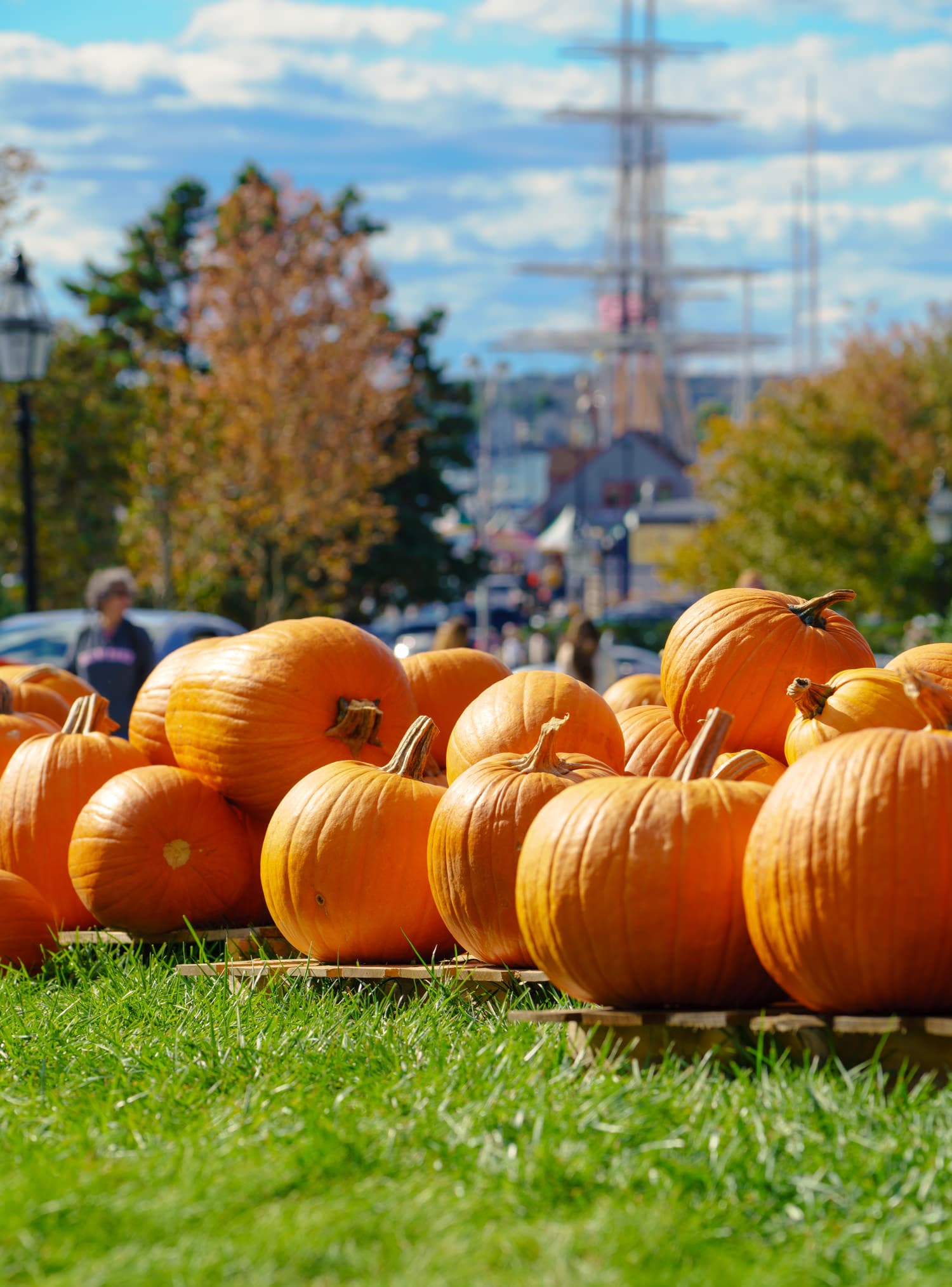 Newport photo DSC05186