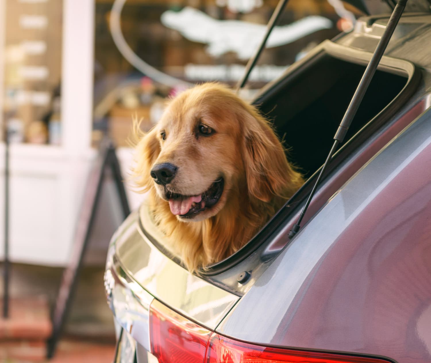 Newport photo DSC05356