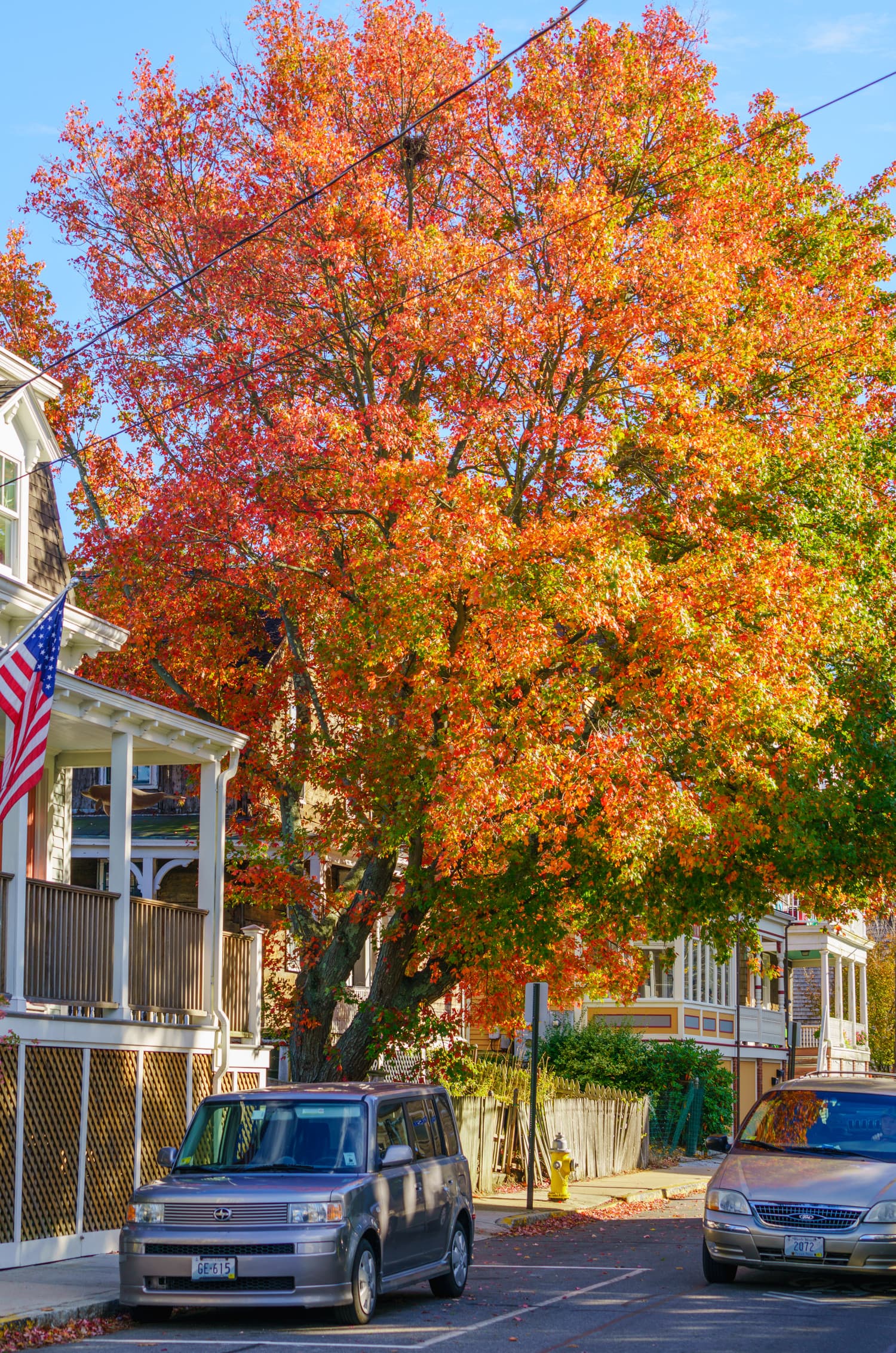 Newport photo DSC05378