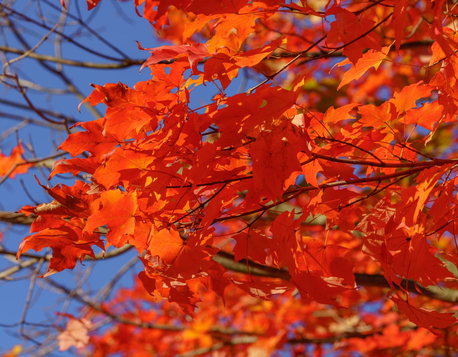 Newport photo DSC05391