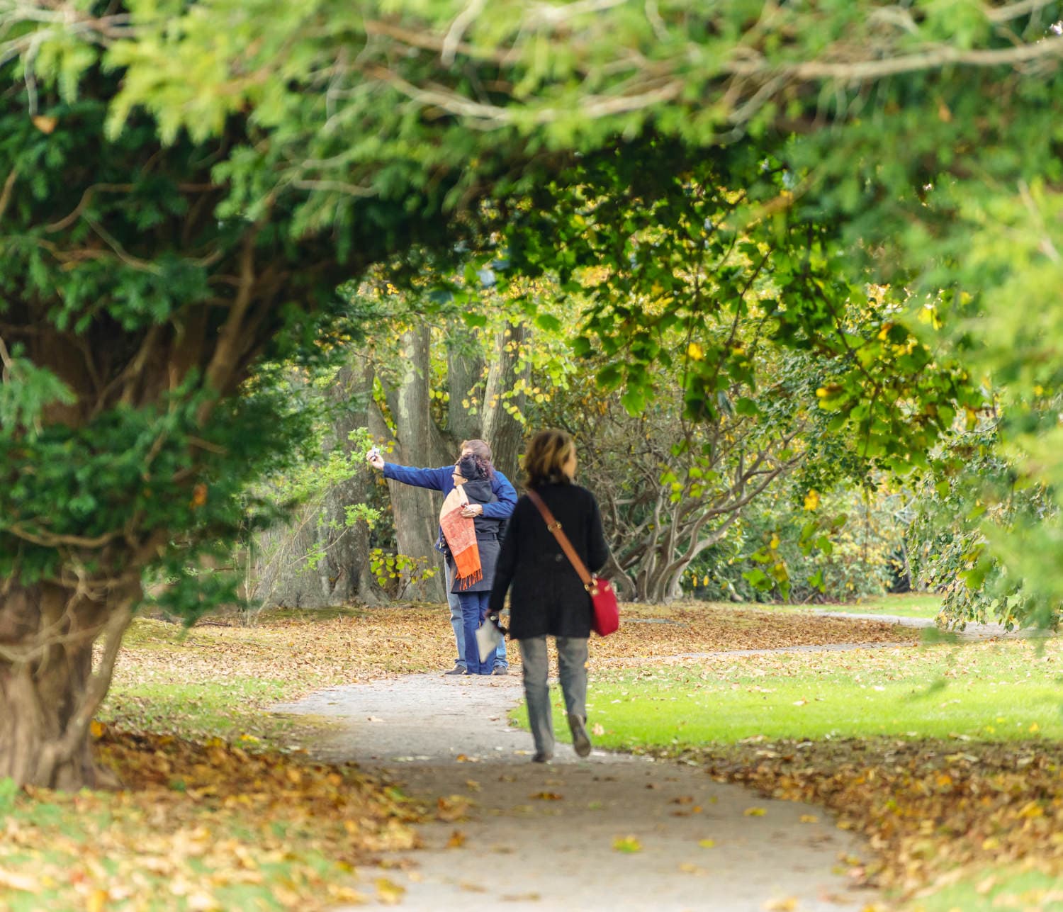 Newport photo DSC05440