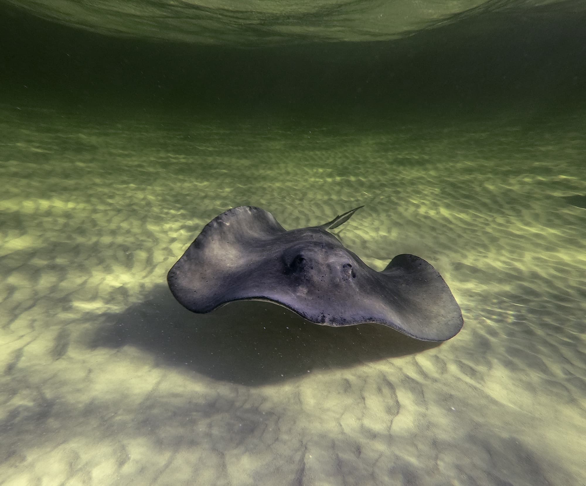 Grand Cayman photo DJIGP-DSC14