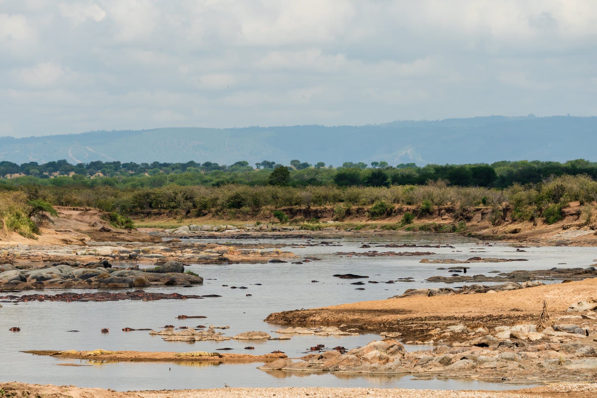 Northern Serengeti photo 96