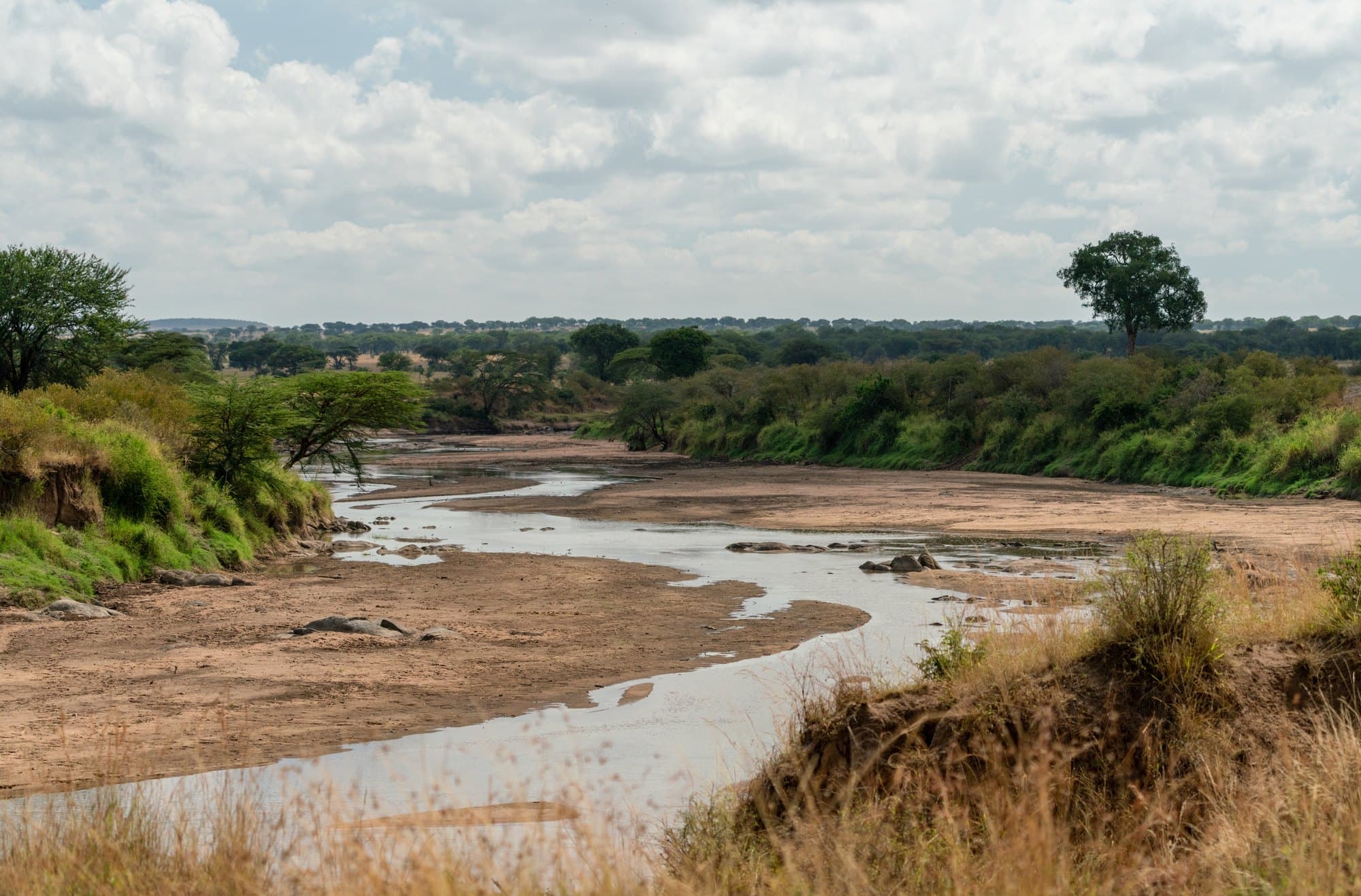 Northern Serengeti photo 93