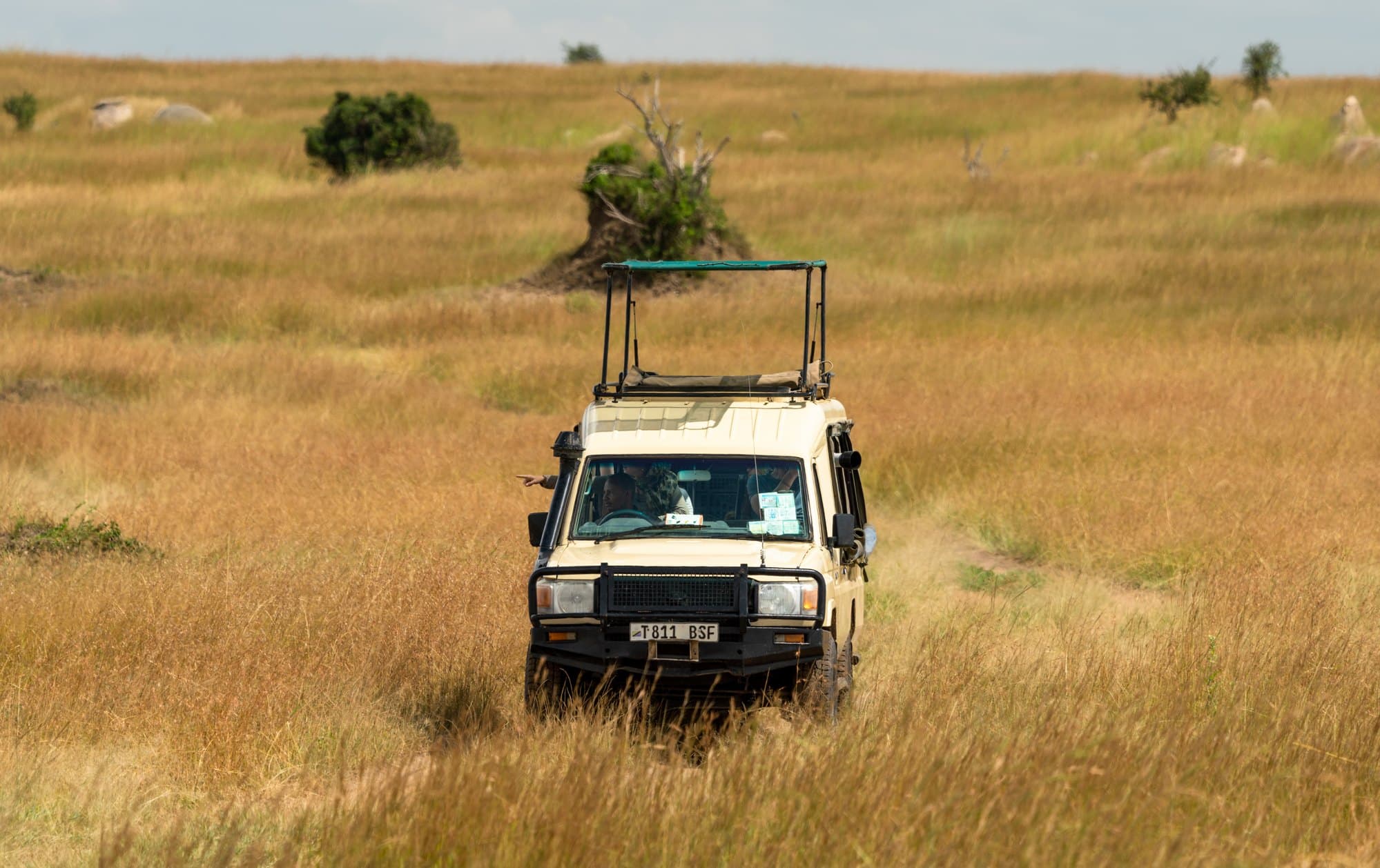 Northern Serengeti photo 98