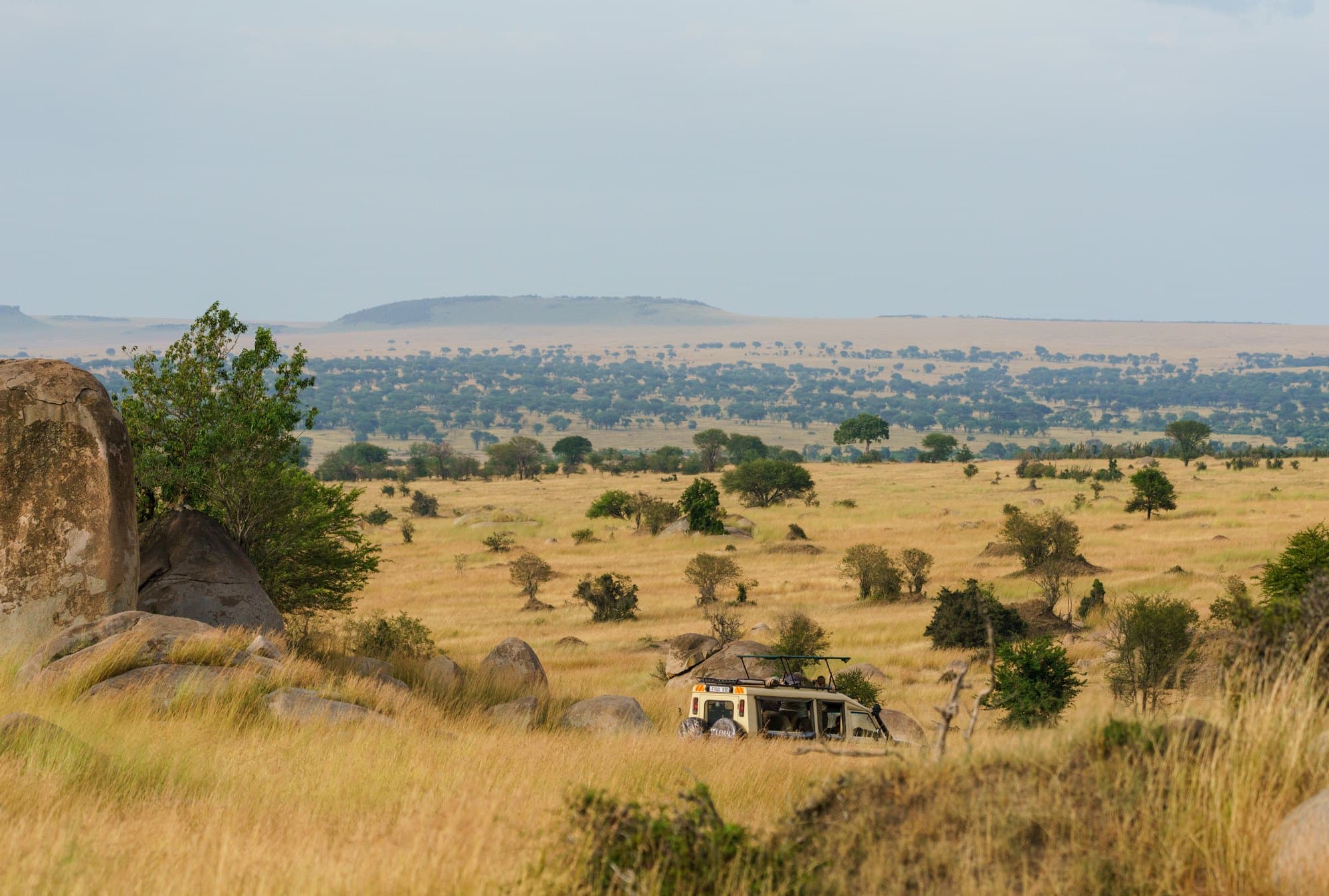 Northern Serengeti photo 79