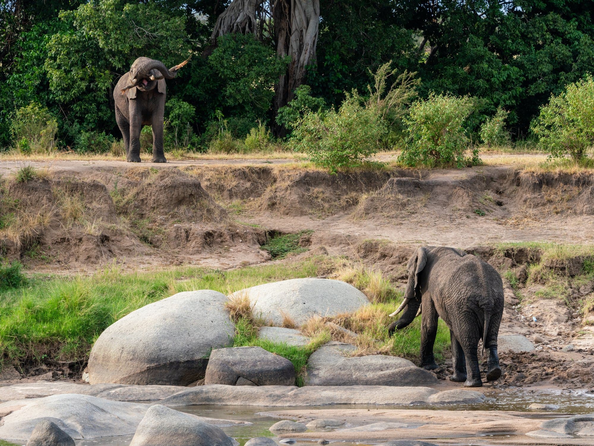 Northern Serengeti photo 58