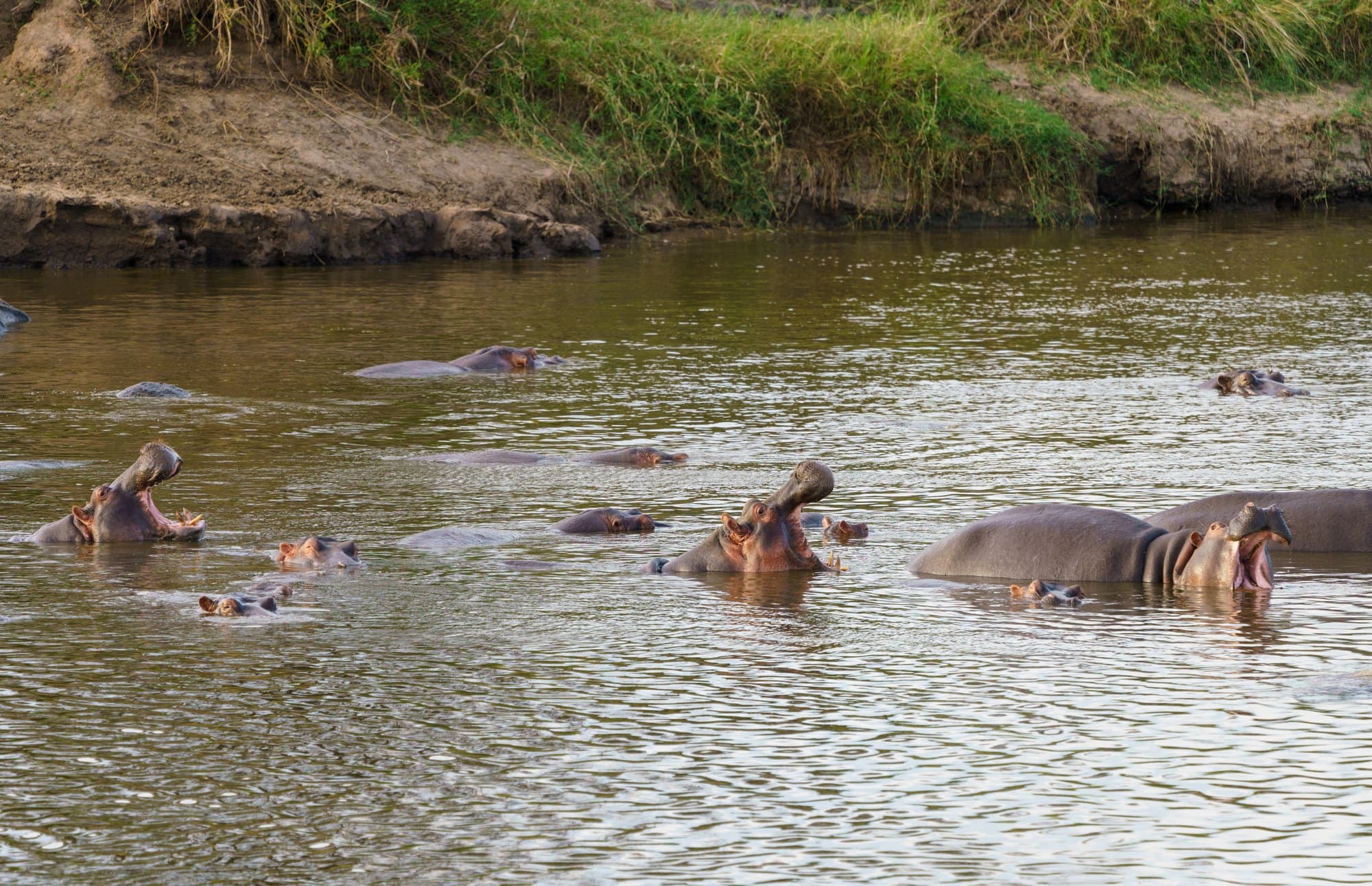 Northern Serengeti photo 60