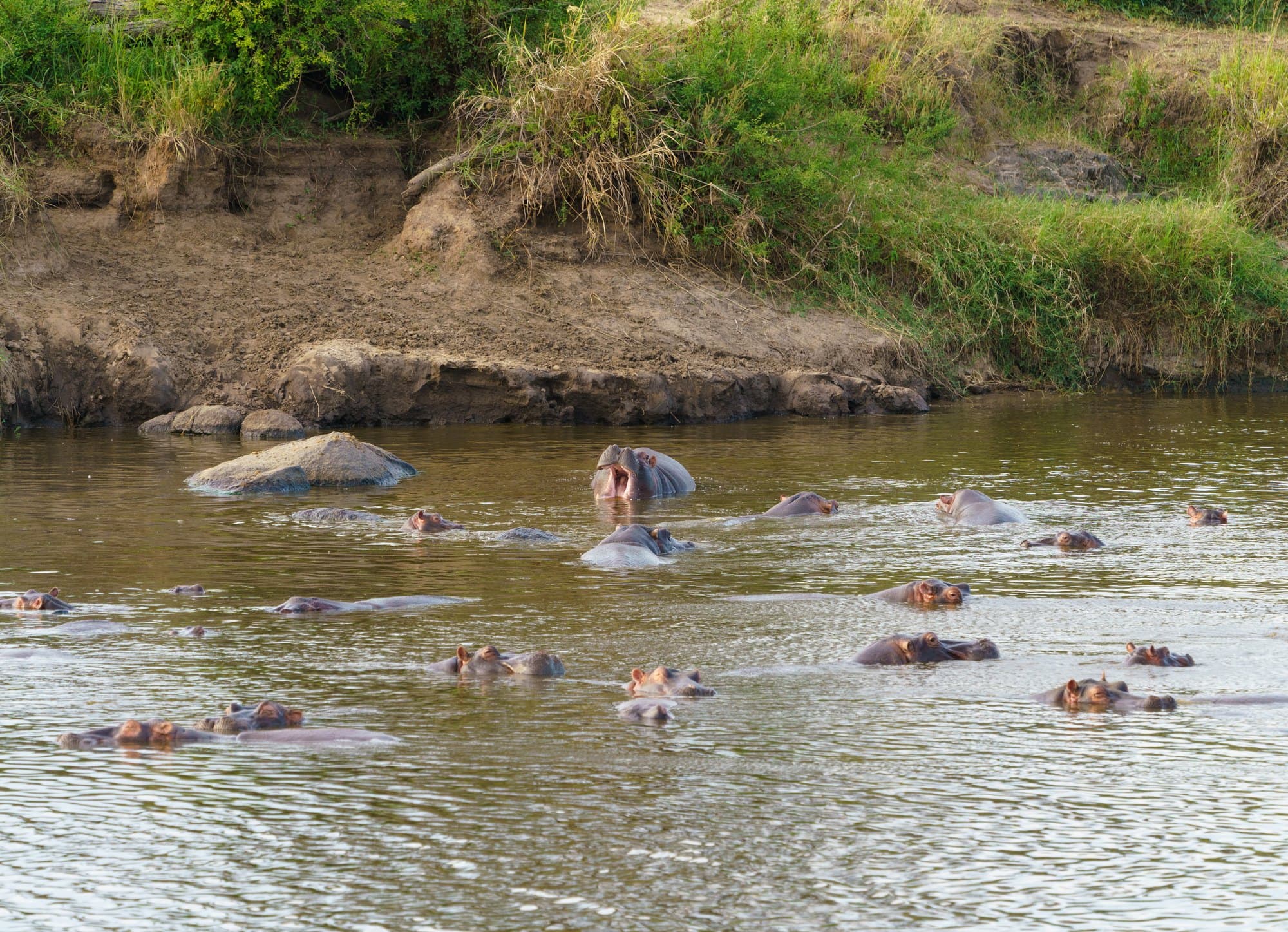 Northern Serengeti photo 59