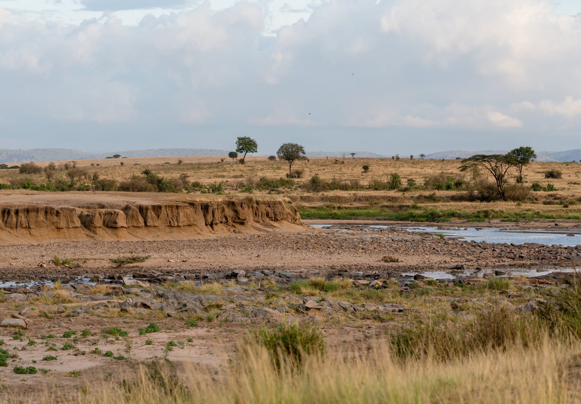 Northern Serengeti photo 64